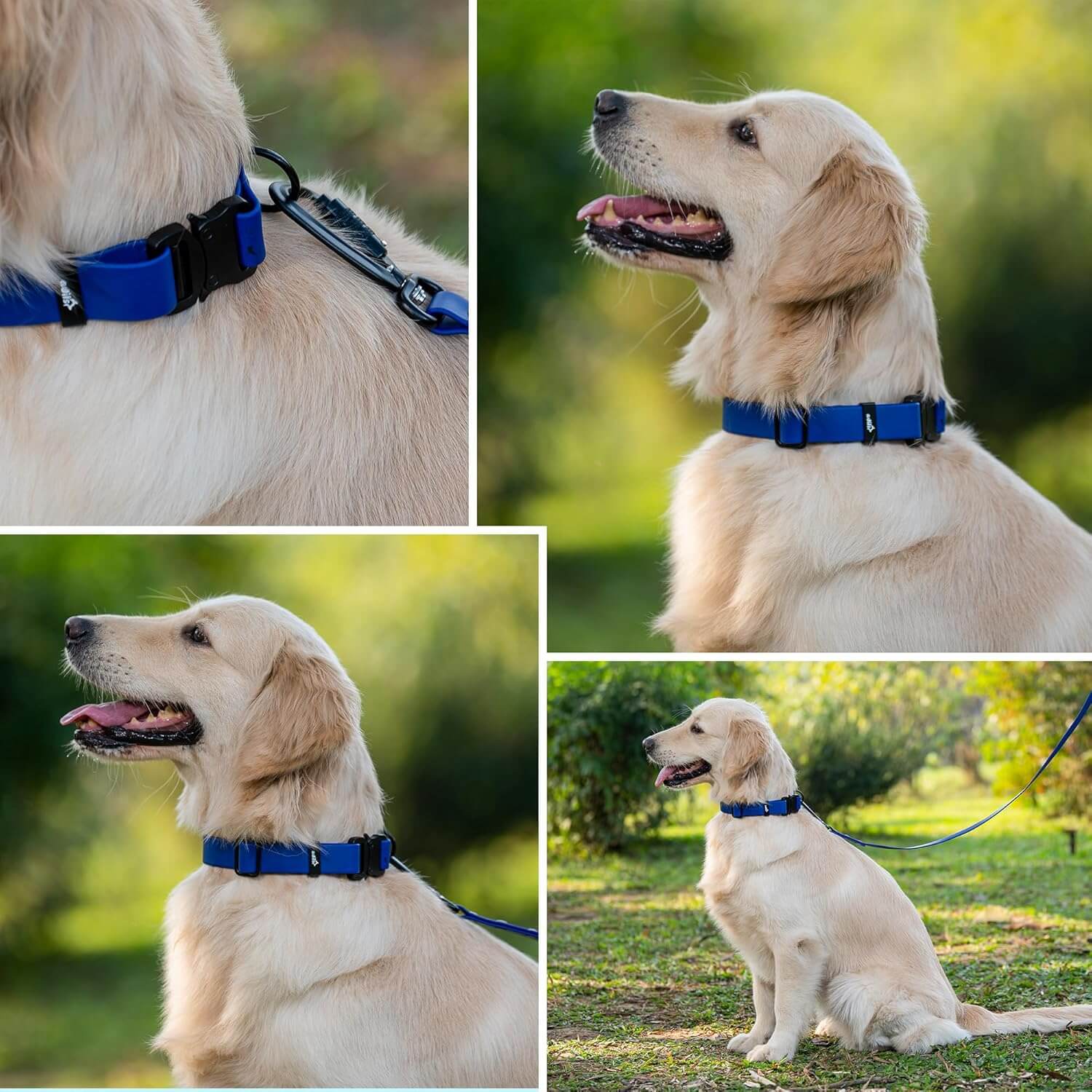 Biothane Combo Dog Collar & Leash