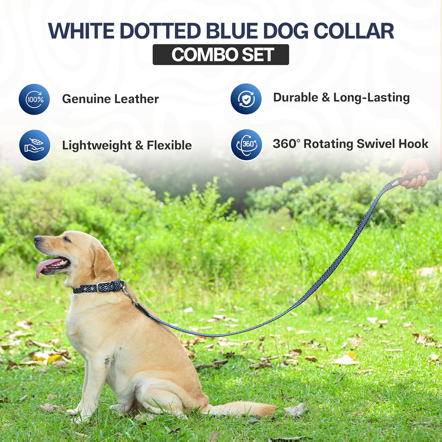 Adil’s Cotton Dotted Dog Collar & Leash Combo – Adjustable with Leather, 360° Swivel Hook, D-Ring, 5ft Leash for All Dogs (Navy Blue with White Dot, S(12''-16''))