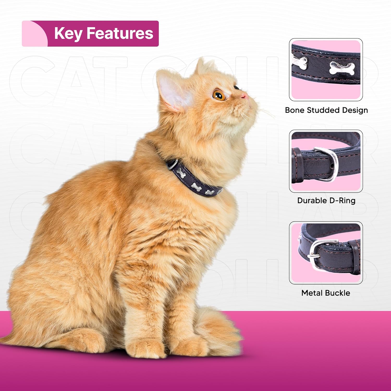 Adil’S Leather Cat Collar - Stylish Six Bone Studded Design, Breakaway Soft pet Collar, Adjustable Metal Buckle with Strong D-Ring for Leash attachments,Comfortable & Secure (Black)