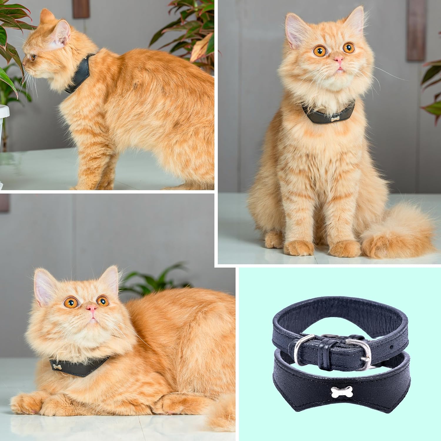 Adil’S Leather Cat Collar - Stylish Single Bone Studded Design, Breakaway Soft pet Collar, Adjustable Metal Buckle with Strong D-Ring for Leash attachments for Outdoor Adventures (Black)