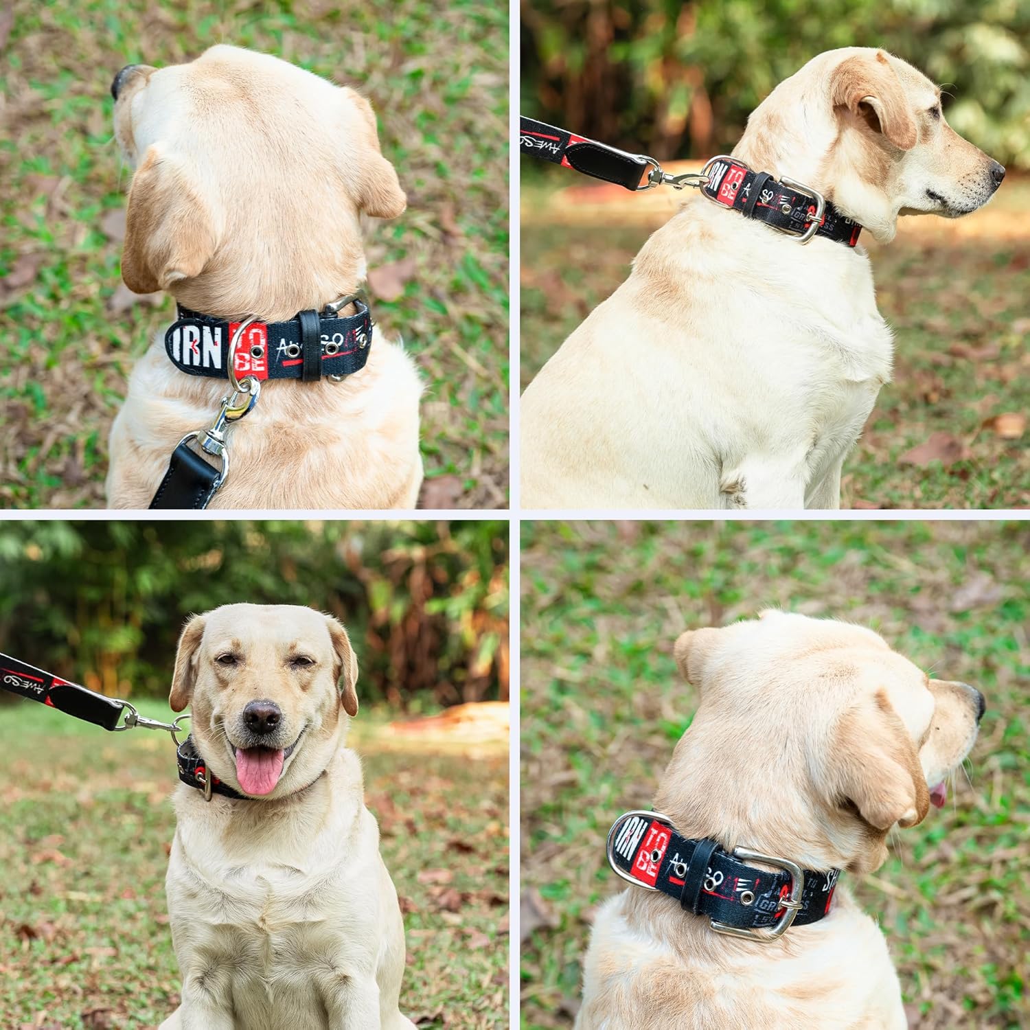 ADIL's Handcrafted Cotton Dog Collar – Premium Graffiti Printed Webbing Neckbelt with Heavy-Duty Metal Buckle & Strong D-Ring Adjustable Neckband for Small Medium Large Dogs, 1.5 Inch (Black, S)