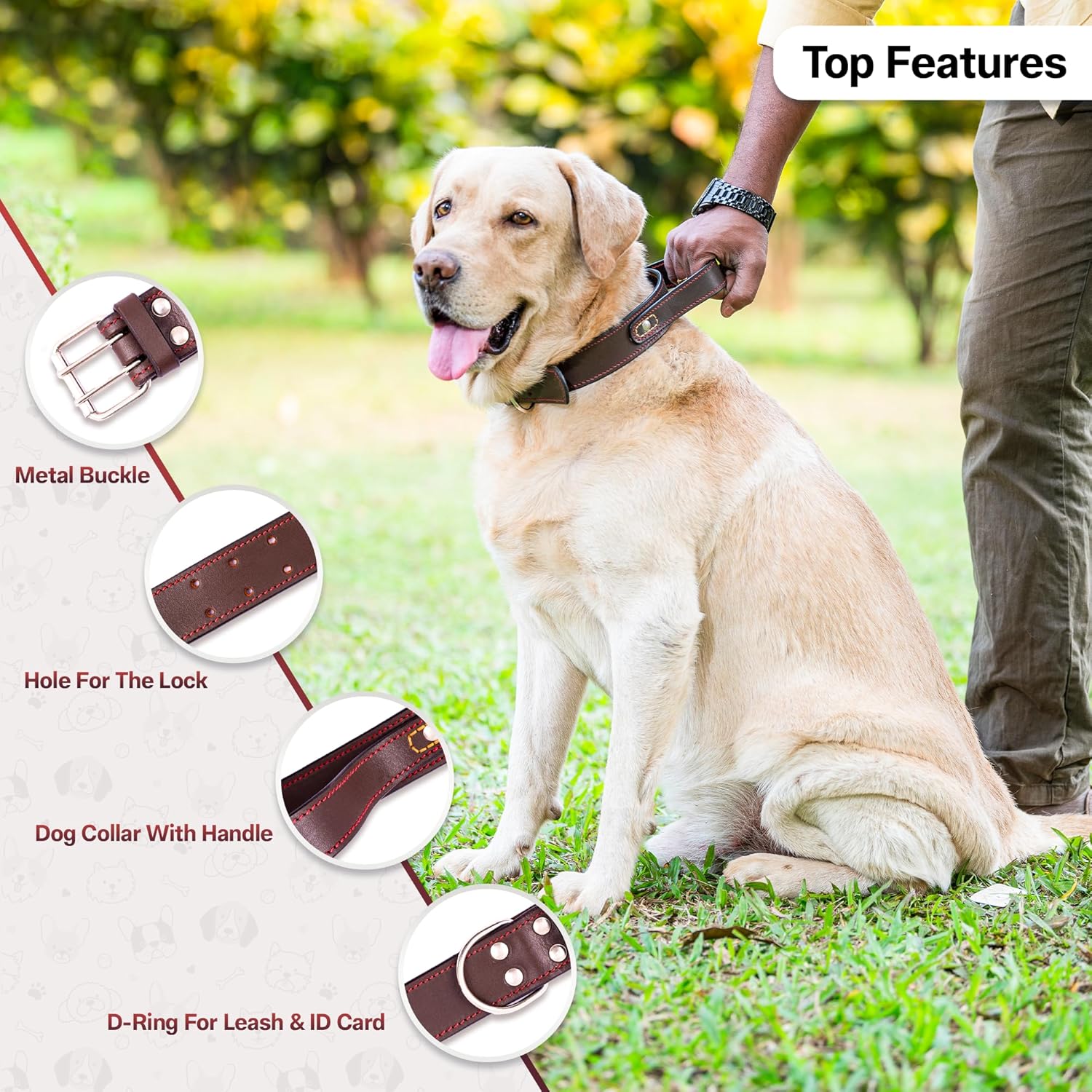 Adil’S Dog Genuine Leather Dog Collar with Strap Handle for Medium & Large Dogs, Adjustable Heavy Duty Handle Dog Collar with Double pin Buckle, Neck Size (12 to 26) inches, Brown