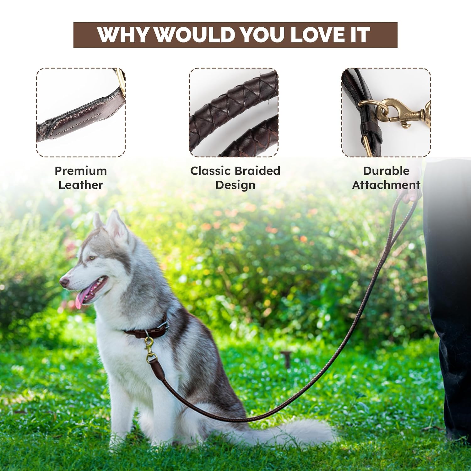 Braided Rolled Drum Dyed (DD) Leather Dog Collar & Leash