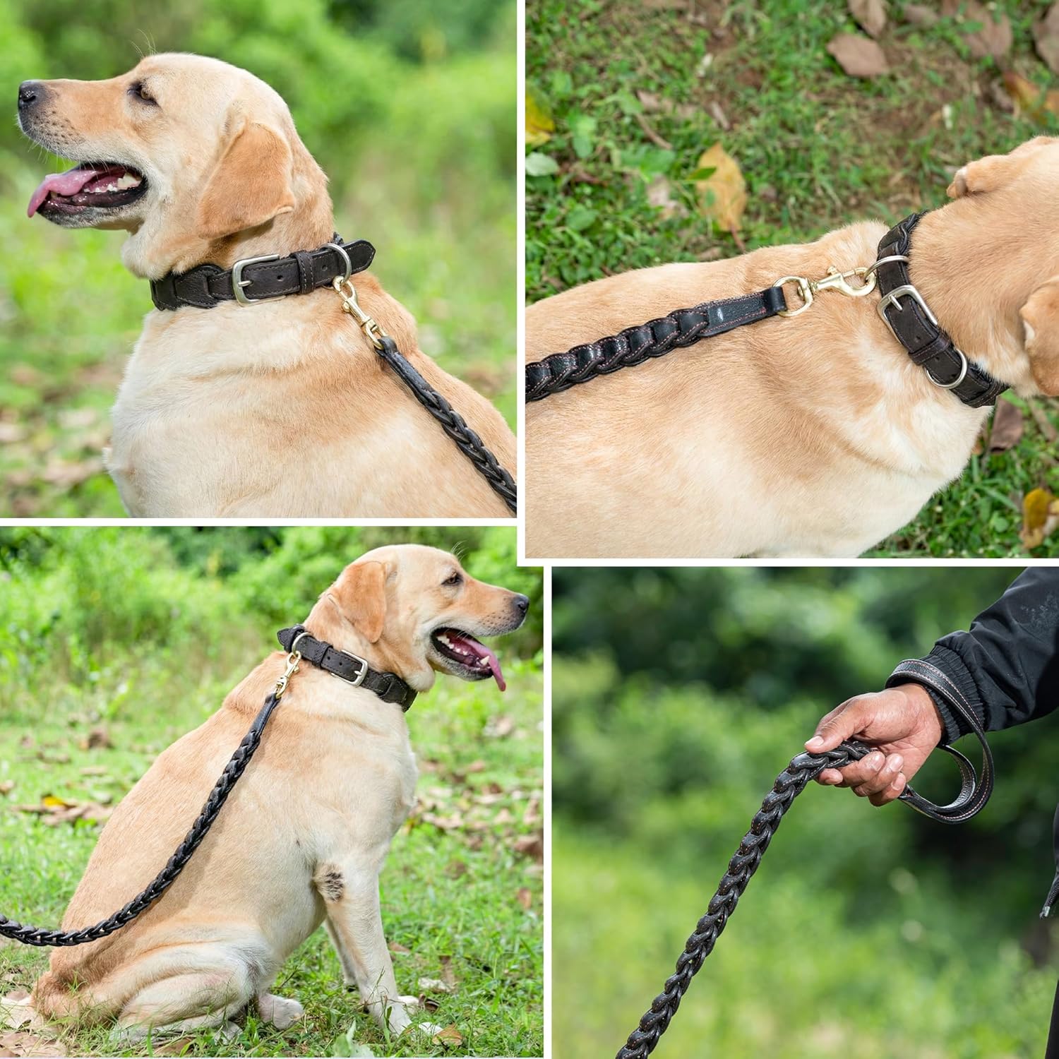 Adil’s Genuine Leather Loop Dog Collar & Leash Combo Set – 5ft Loop Leash Strong Stitch Finish Soft Padded Adjustable Collar with Metal Buckle D-Ring for Small Medium Large Dogs