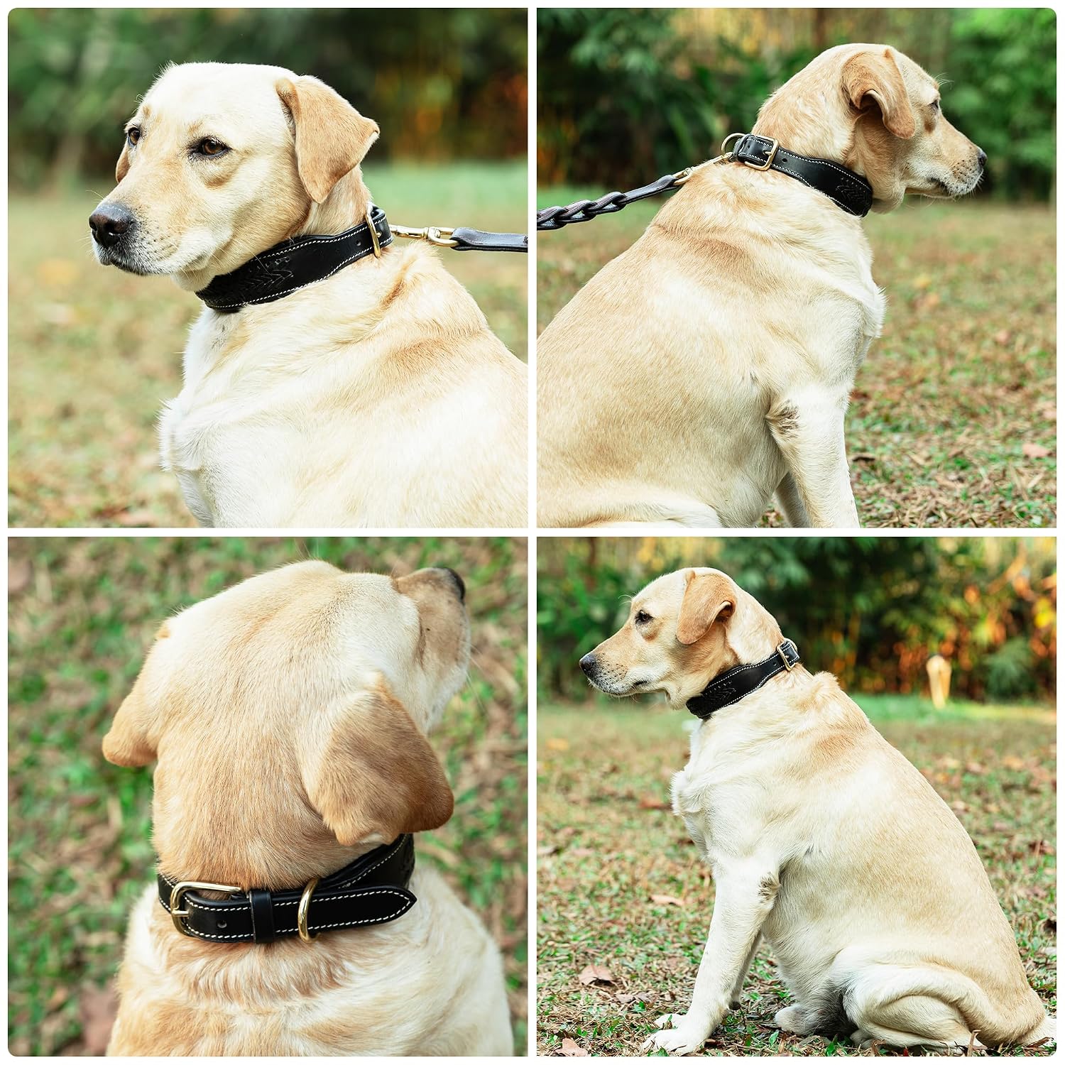 ADIL'S Handcrafted Leather Dog Collar – Basket Weave Braided Design Neckbelt with Brass Buckle & D-Ring for Small Medium Large Dogs, Black 1 Inch
