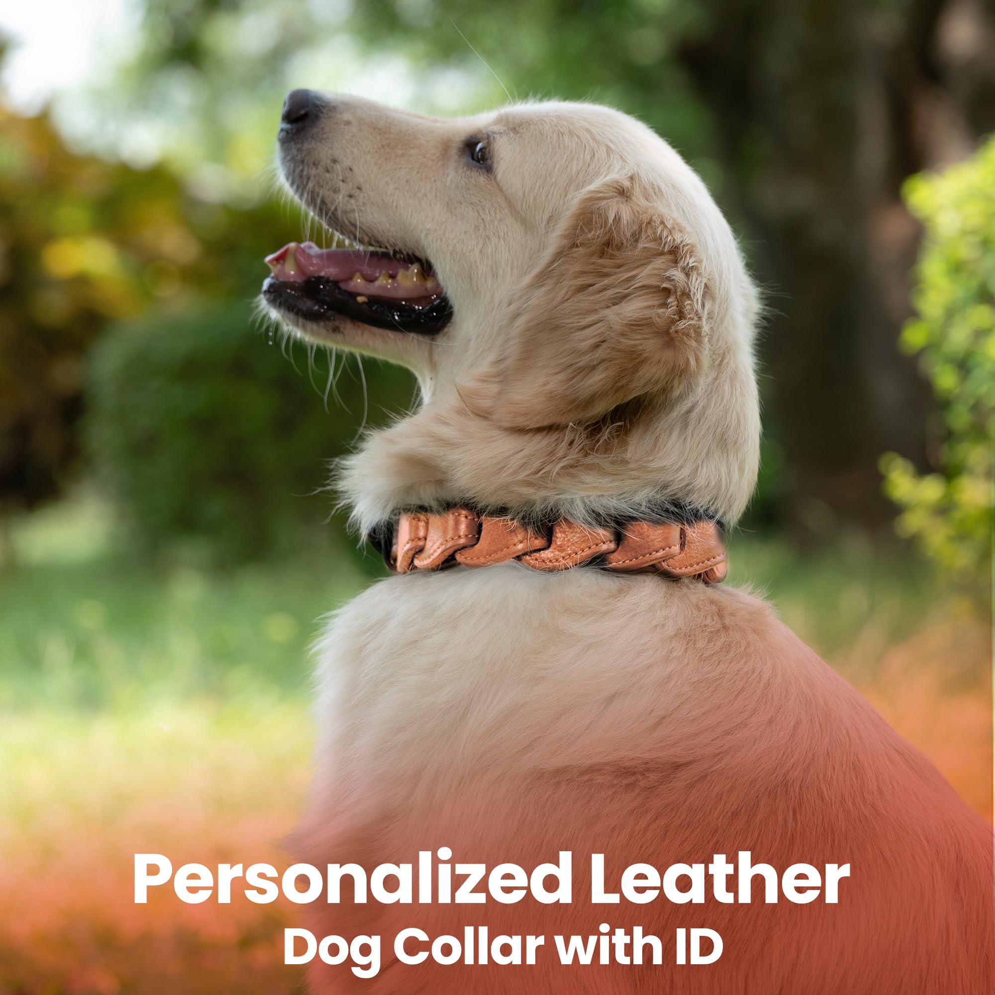 Adil’S Soft Leather Personalized Dog Collar for Large Medium Small Dogs Neck Collar with Personalized Dog Name in Neck Size 12 Inch to 26 Inch