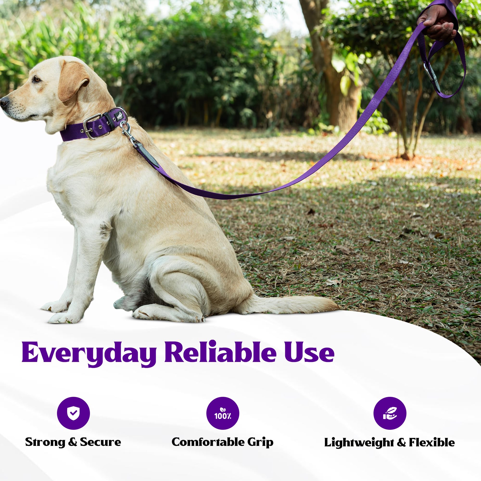 ADIL's Nylon Dog Leash, Heavy Duty Walking Lead with 360° Swivel Metal Hook 1.5 Inch Wide Durable Training Cord with Comfortable Loop Handle for Medium Large Dogs