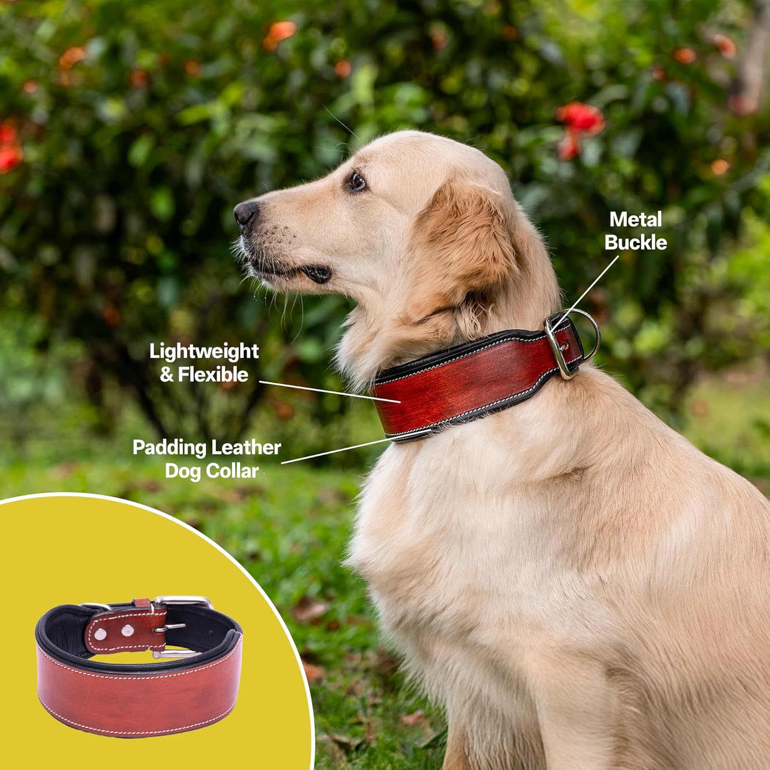 Adil’S Colour Padding Leather Dog Collar 2.25 Inches Width, Heavy Duty, Adjustable Leather Handmade Dog Collar with Strong Metal Buckle, Neck Size: 16” to 26” (Black, M)