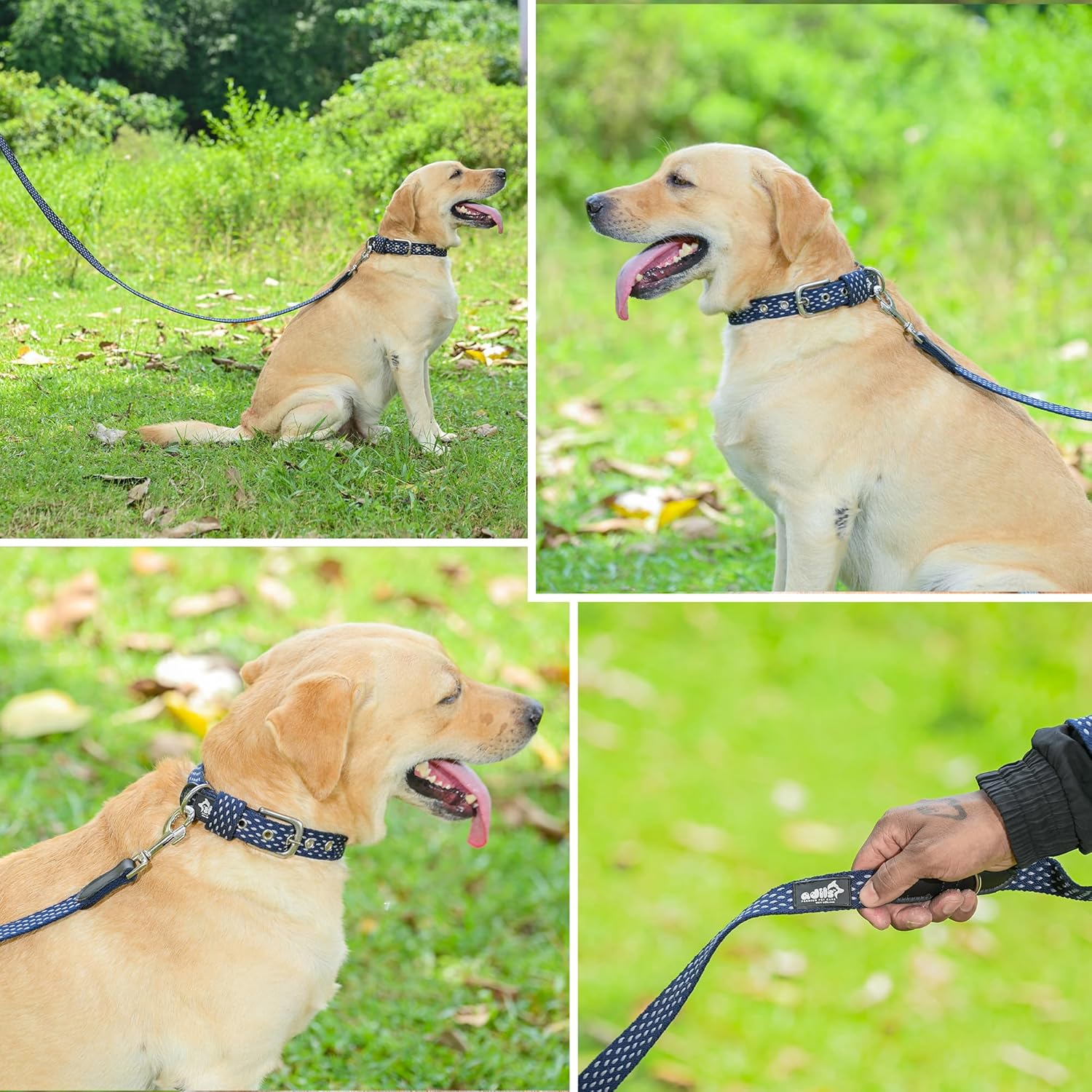 Adil’s Cotton Dotted Dog Collar & Leash Combo – Adjustable with Leather, 360° Swivel Hook, D-Ring, 5ft Leash for All Dogs (Navy Blue with White Dot, S(12''-16''))