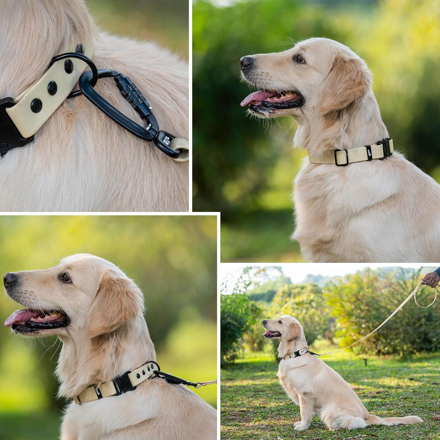 Biothane Combo Dog Collar & Leash