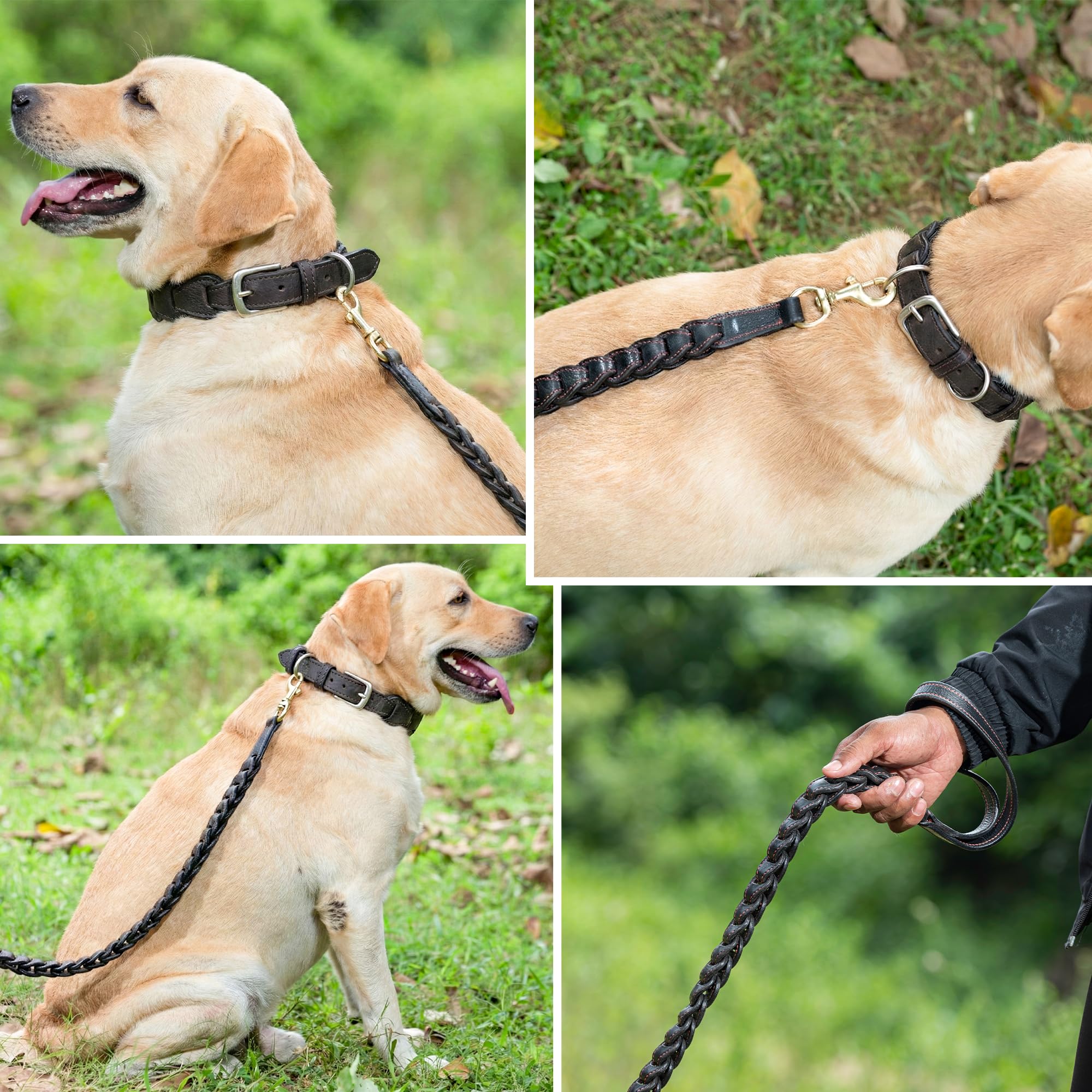 Adil’s Genuine Leather Loop Dog Leash – Heavy-Duty 5ft Leather Leash with Soft Inner Padding Strong Stitch Finish & 360° Rotating Swivel Hook for Safe Comfortable Control for Small Medium & Large Dogs