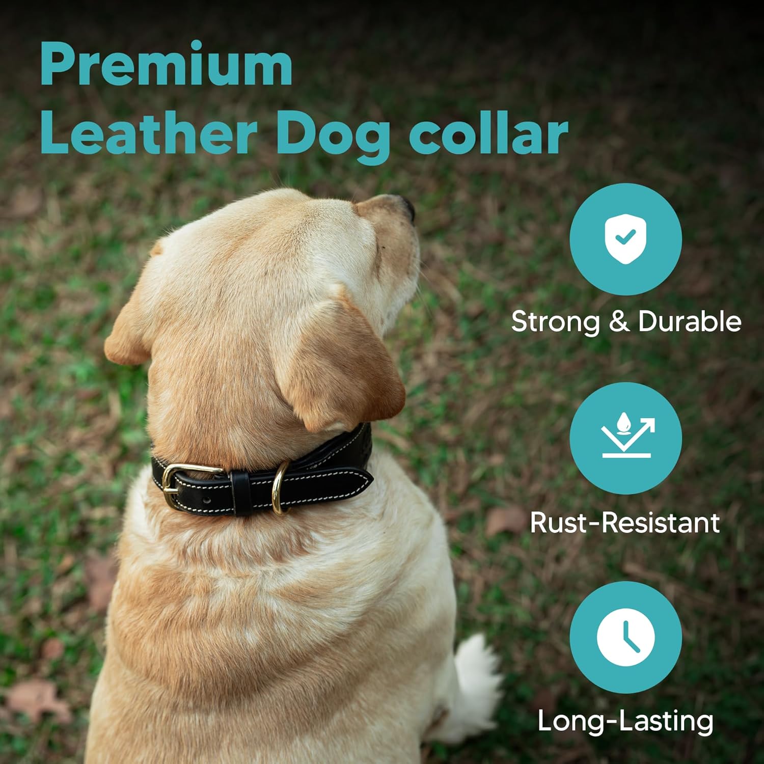 ADIL'S Handcrafted Leather Dog Collar – Basket Weave Braided Design Neckbelt with Brass Buckle & D-Ring for Small Medium Large Dogs, Black 1 Inch