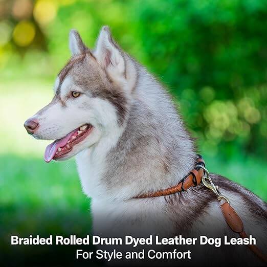 Adil’S Braided Rolled Drum Dyed Leather Dog Leash with 360 Degree Rotating Clasp 5 FT Long, Non-Slip Grip Handle, Suitable for Large & Medium Dogs