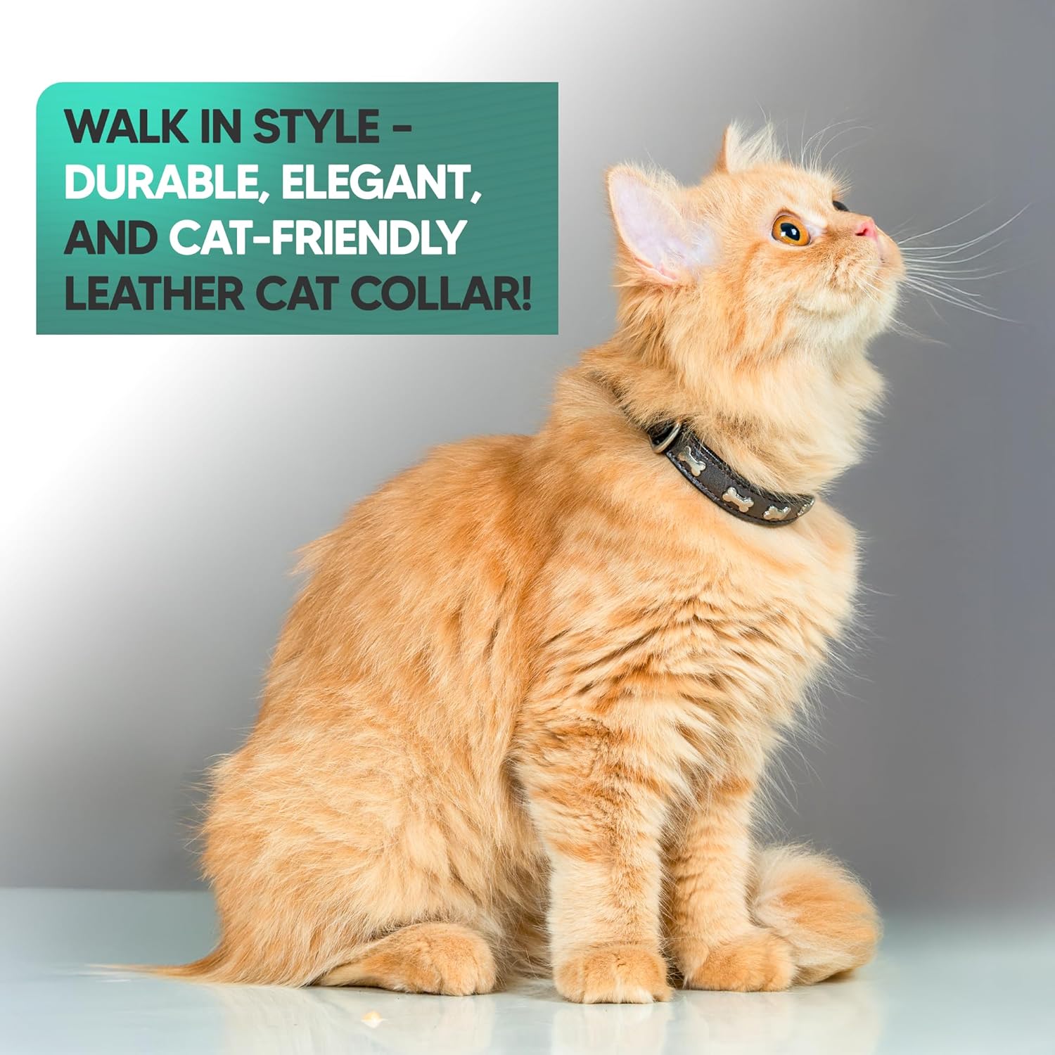 Adil’S Leather Cat Collar - Stylish Six Bone Studded Design, Breakaway Soft pet Collar, Adjustable Metal Buckle with Strong D-Ring for Leash attachments,Comfortable & Secure (Black)