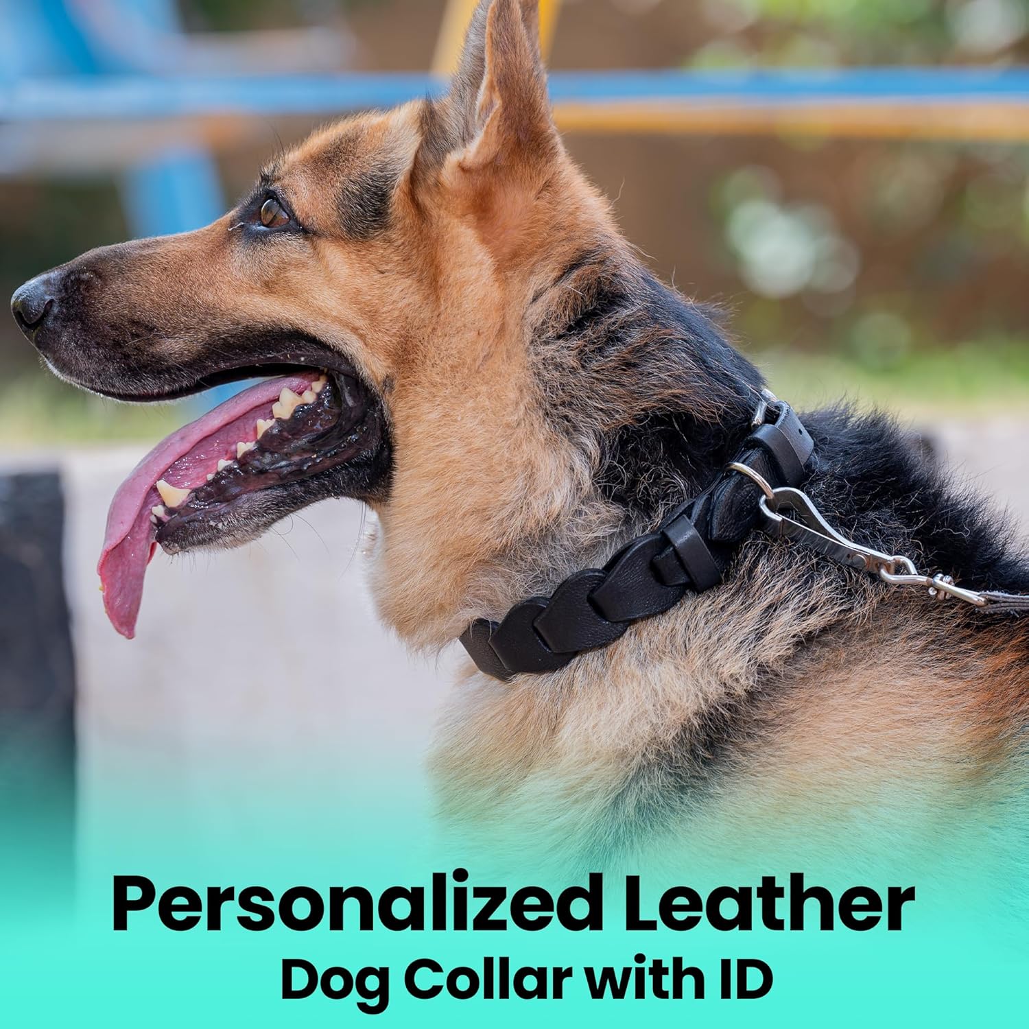 Adil's Leather Personalized Dog Collar (Softy Leather) – 1.5 Inch Wide