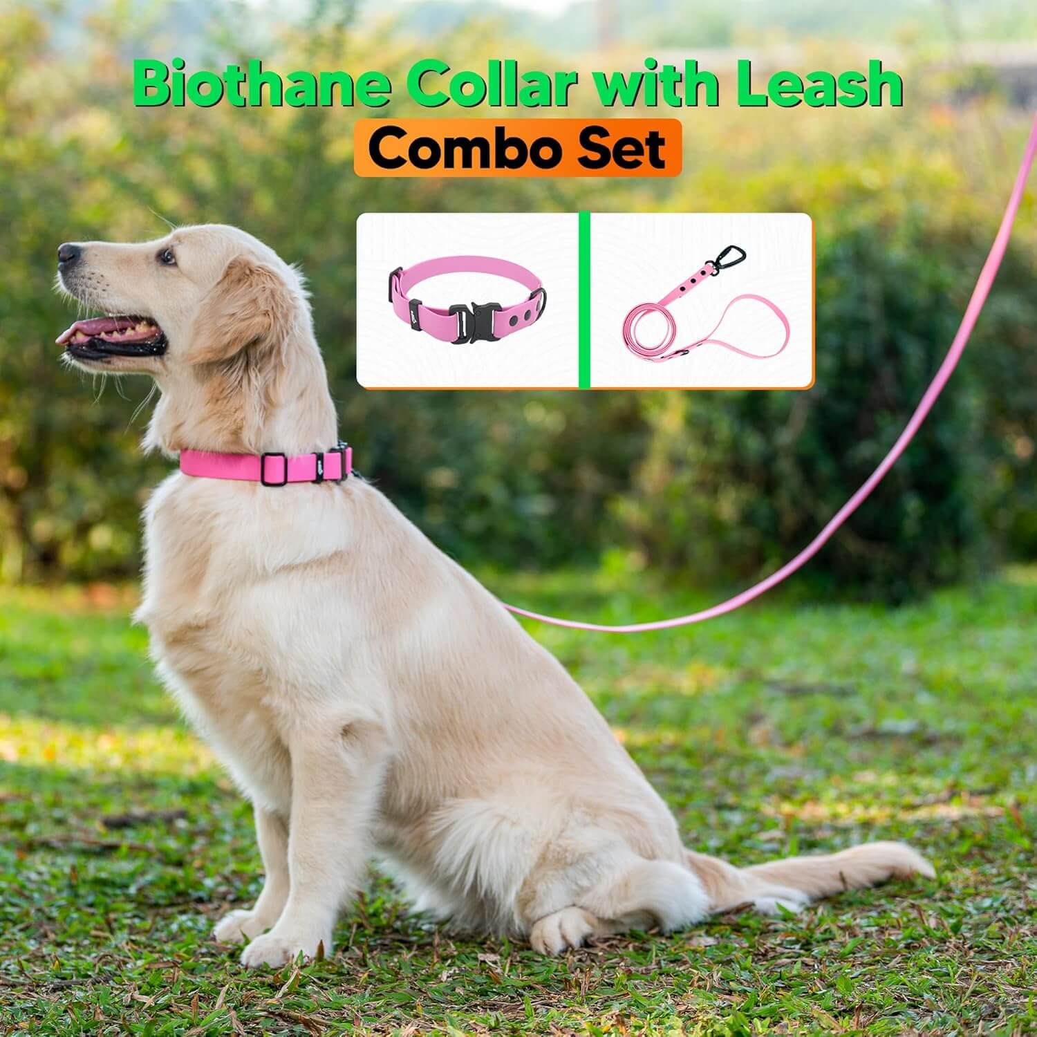 Biothane Combo Dog Collar & Leash