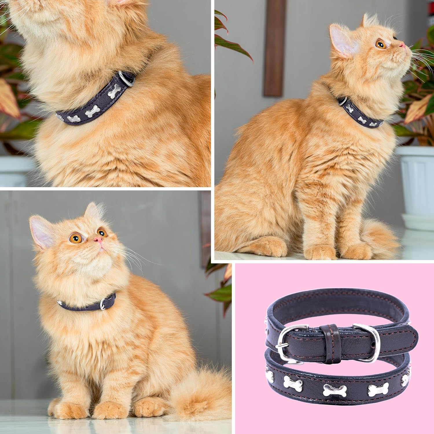 Adil’S Leather Cat Collar - Stylish Six Bone Studded Design, Breakaway Soft pet Collar, Adjustable Metal Buckle with Strong D-Ring for Leash attachments,Comfortable & Secure (Black)