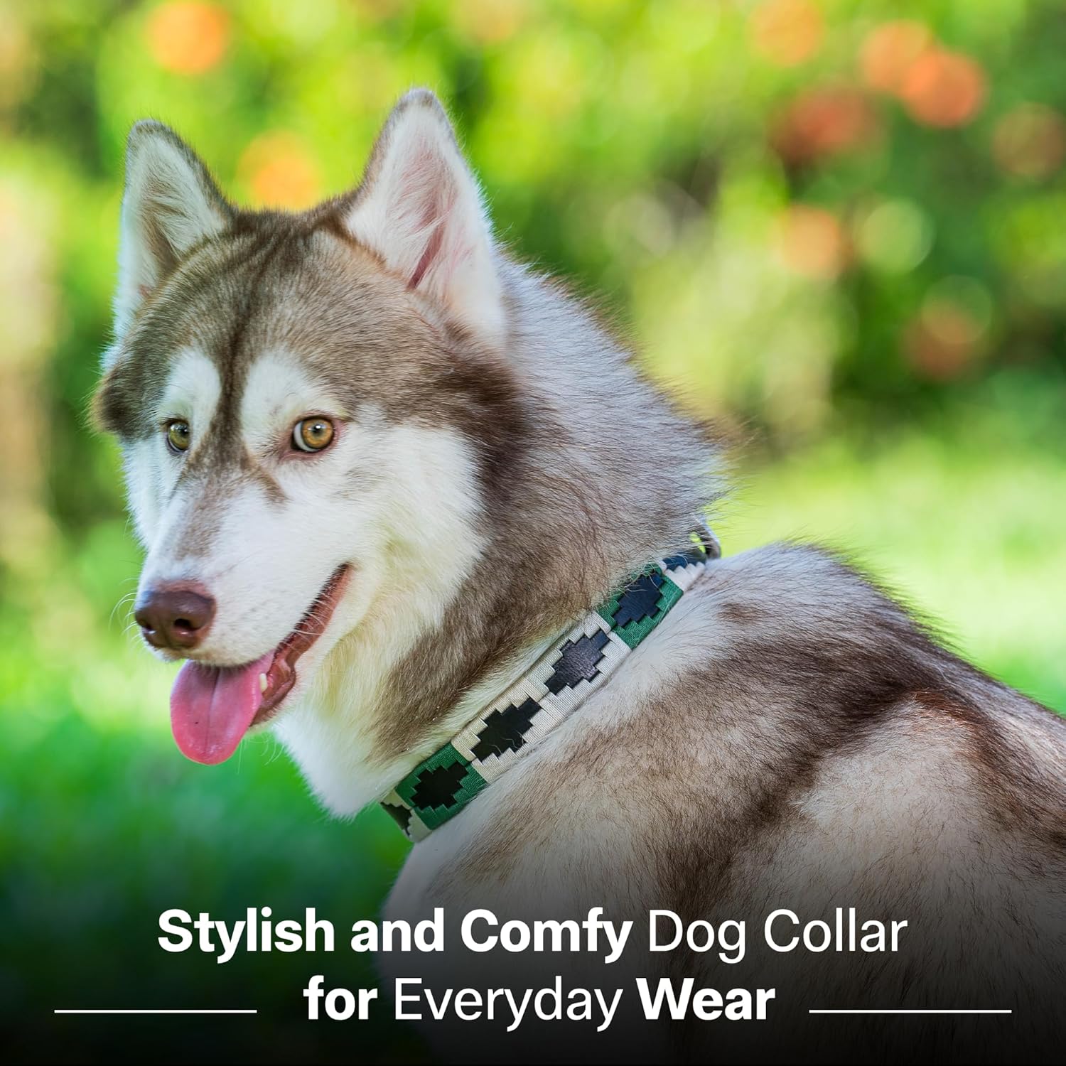 ADIL'S Polo Dog Collar,1 Inch Width Handcrafted by Artisans|Leather Dog Collar with Strong Metal Buckle & D-Ring for Small, Medium & Large Dogs