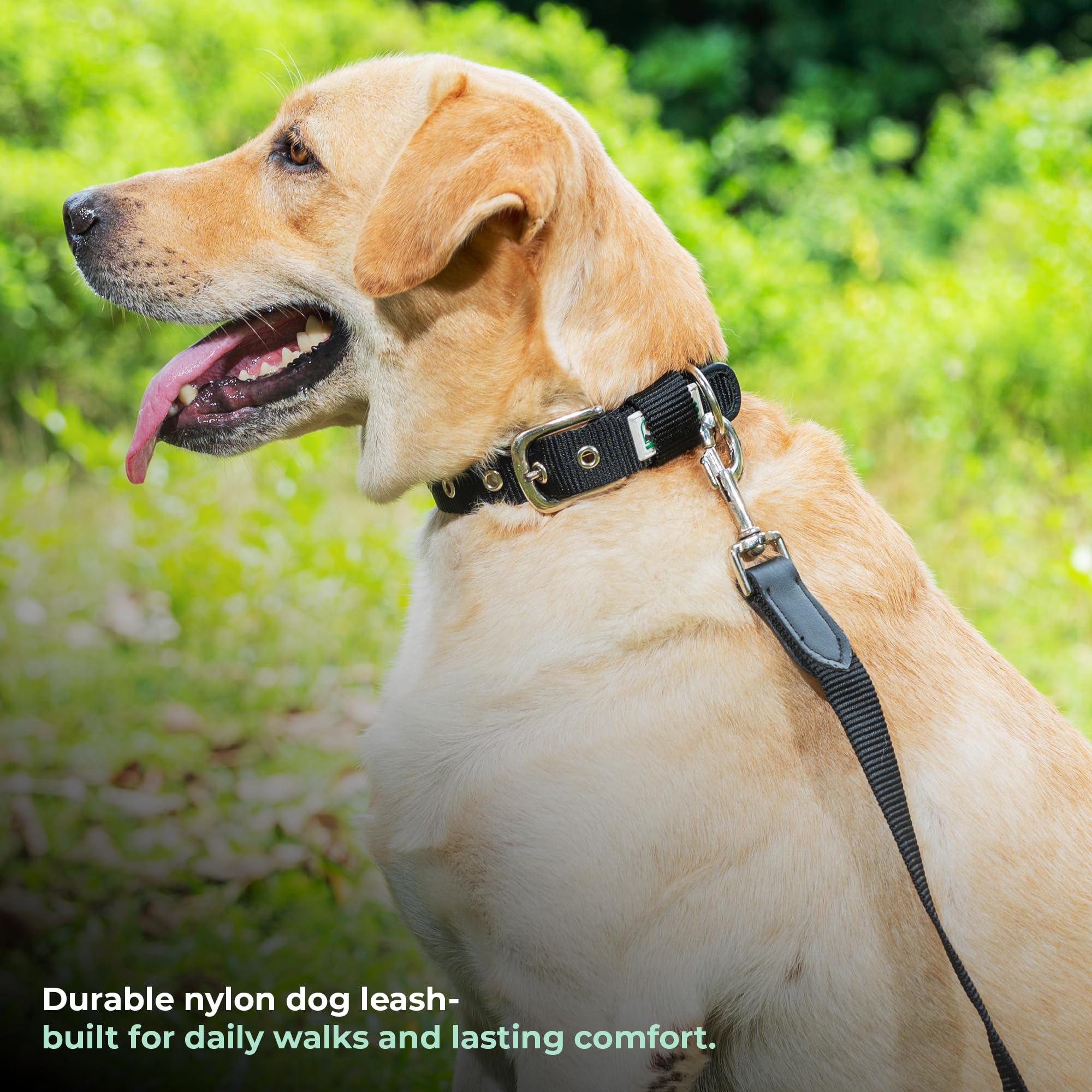 Adil’s 5FT Adjustable Nylon Dog Leash with Soft Leather Handle – Durable Long Lead with 360° Swivel Hook – Strong, Tangle-Free Leash for Walking & Training Small, Medium & Large Dogs