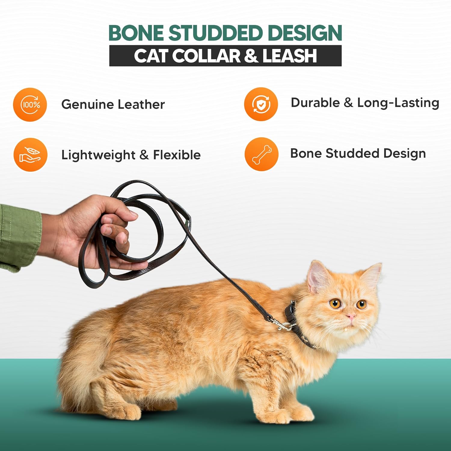 Adil’S Leather Cat Collar & Leash Set - Stylish Six Bone Studded Design Collar, Genuine Leather, Adjustable Buckle & Secure 5ft Leash for Safe and Comfortable Outdoor Activity (Brown)