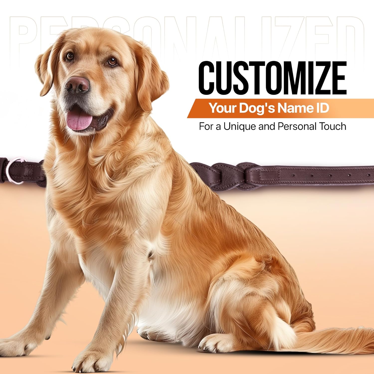 Adil’S Genuine Leather Loop Dog Collar – Handmade, Heavy-Duty, Soft Padded & Adjustable – Durable Braided Leather Collar Dogs