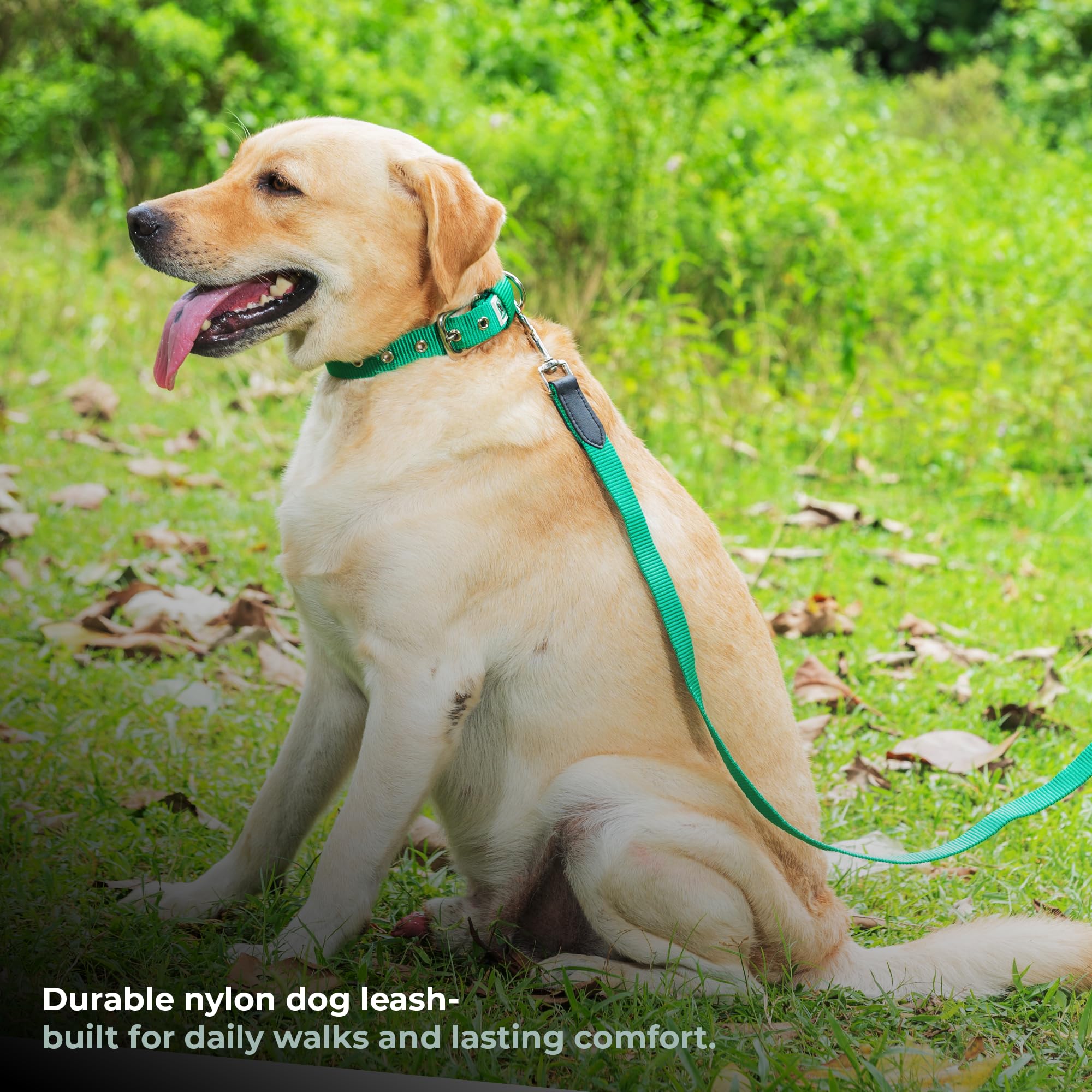 Adil’s 5FT Adjustable Nylon Dog Leash with Soft Leather Handle – Durable Long Lead with 360° Swivel Hook – Strong, Tangle-Free Leash for Walking & Training Small, Medium & Large Dogs