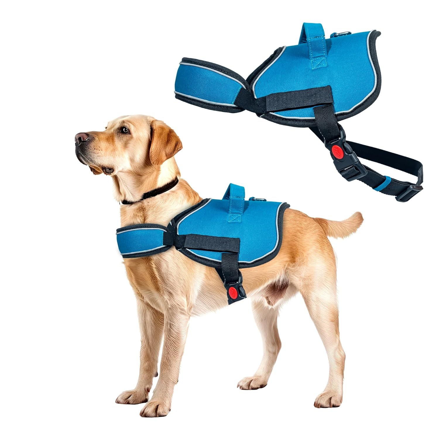 Adil’S No Pull Reflective Dog Harness – Adjustable Soft Dog Harness Set for Small Medium & Large Dogs for Outdoor Activity. (Blue, S)
