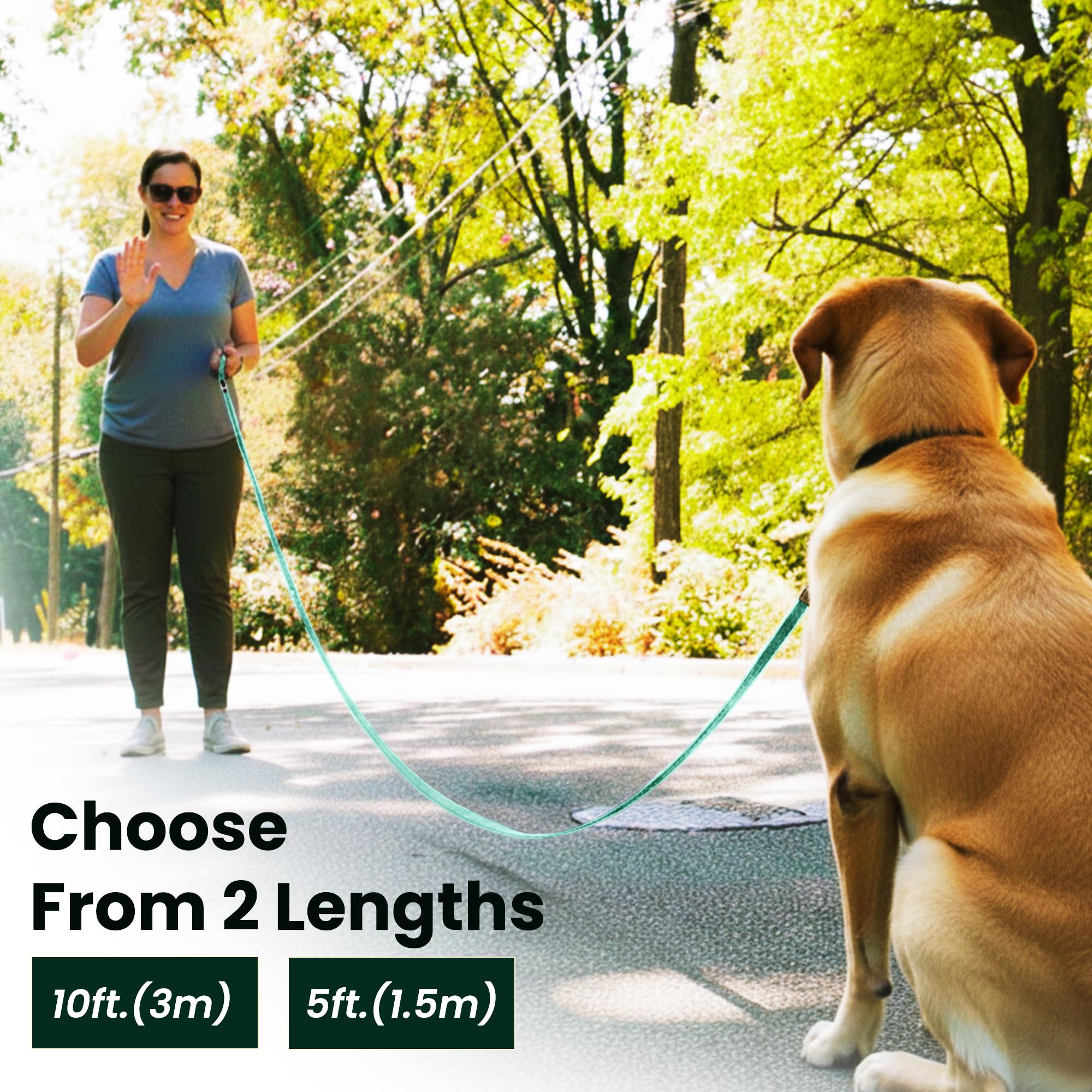 Adil’s 10FT Adjustable Dog Leash Features a Soft Leather Handle, Strong Nylon, and a 360° Swivel Hook—Durable, Comfy, and Ideal for Small to Large Dogs.