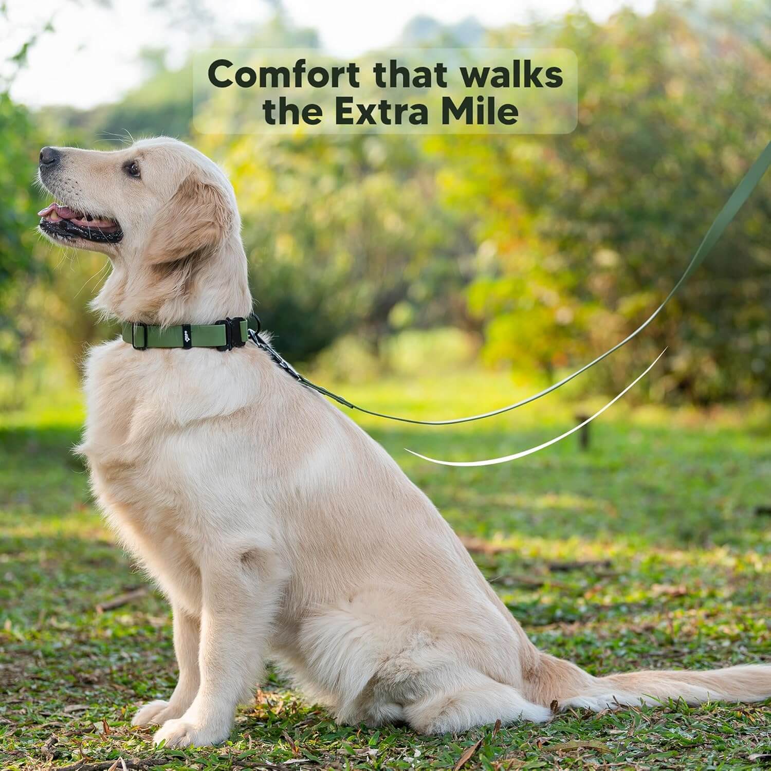 Adil’s Biothane Dog Leash - Waterproof Leashes for Dogs, Metal Hook, Adjustable 5ft Length Suitable for Dogs & Puppies, Ideal for Walking, Running & Training