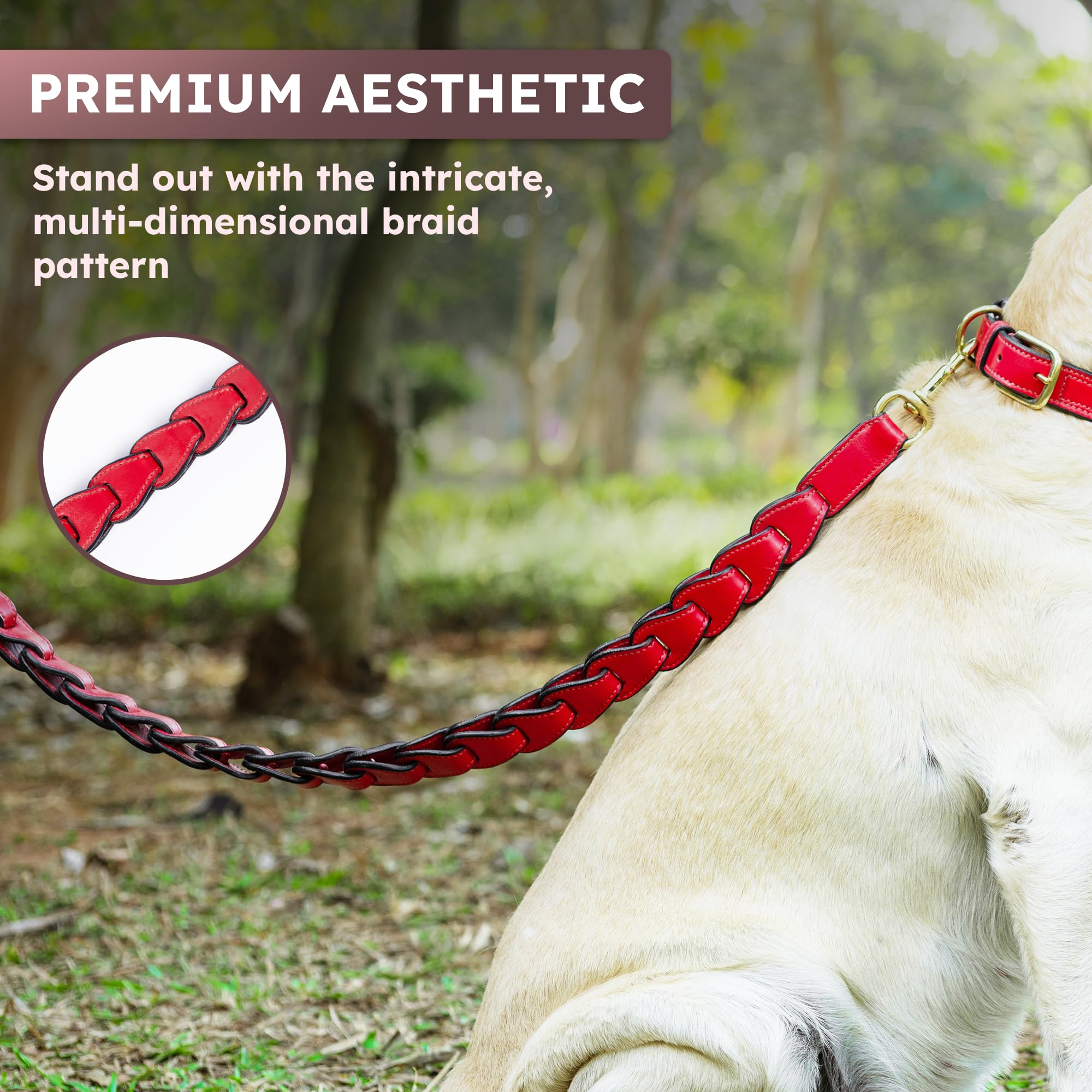 Adil's Premium Softy Leather Dog Leash 5ft Long 1 Inch Wide Braided Leash with Loop Handle 360° Golden Swivel Hook Strong D-Ring Durable Walking Training Lead for Small Medium Large Pets