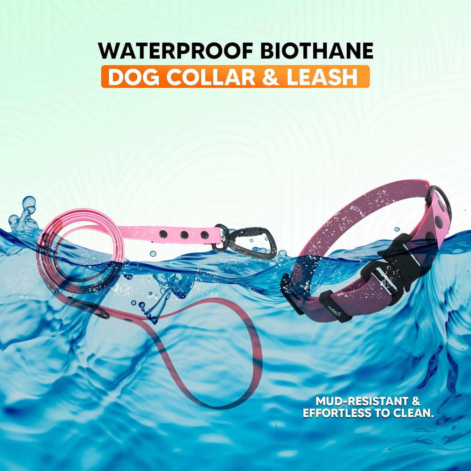Biothane Combo Dog Collar & Leash