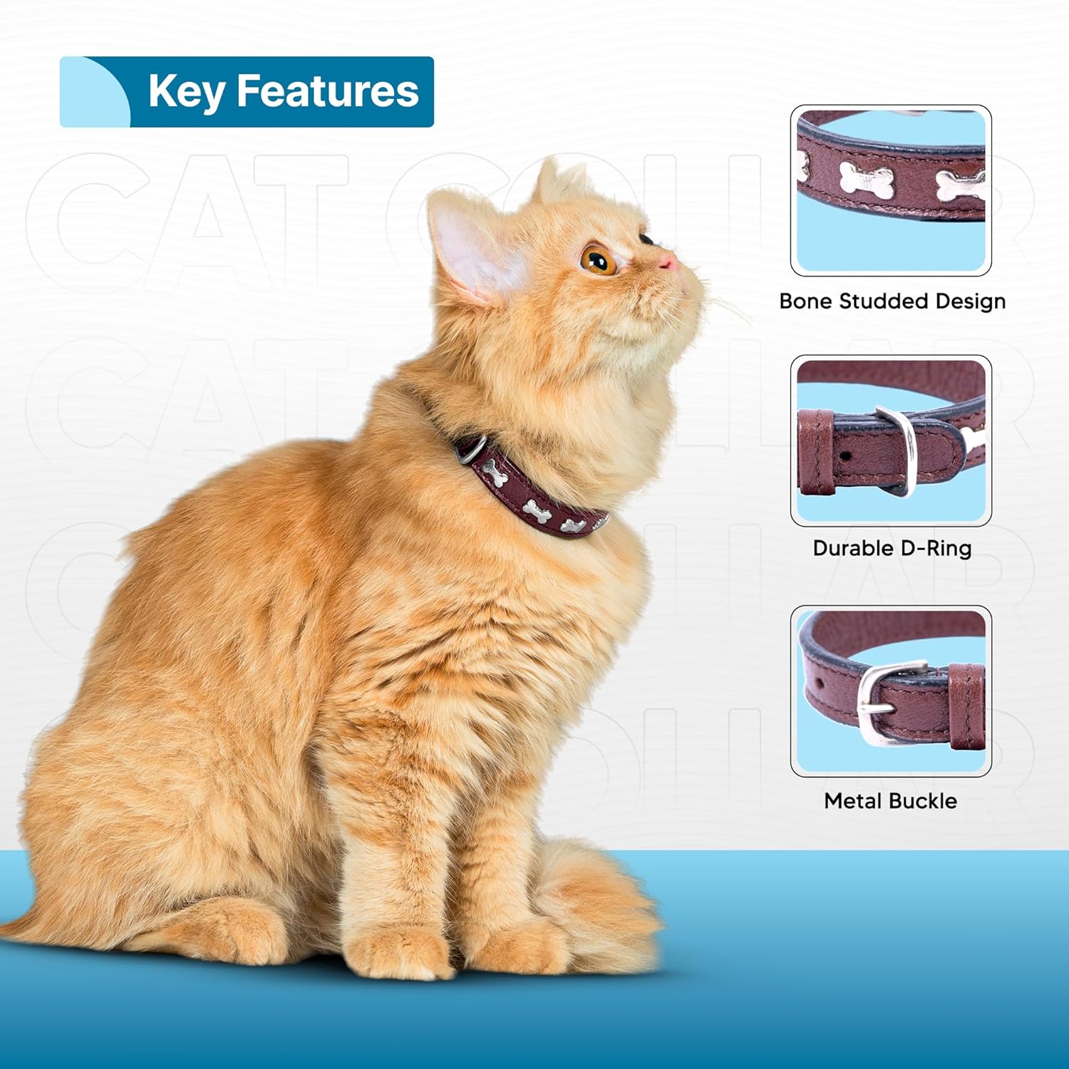 Adil’S Leather Cat Collar - Stylish Six Bone Studded Design, Breakaway Soft pet Collar, Adjustable Metal Buckle with Strong D-Ring for Leash attachments,Comfortable & Secure (Black)