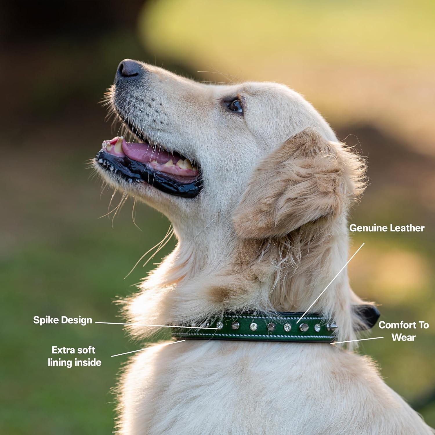 Adil’S Leather Spike Studded Dog Collar – Adjustable Pet Collar for Small, Medium, Large Dogs Durable & Stylish for Pitbulls, Bulldogs, Mastiffs & Guard Dogs