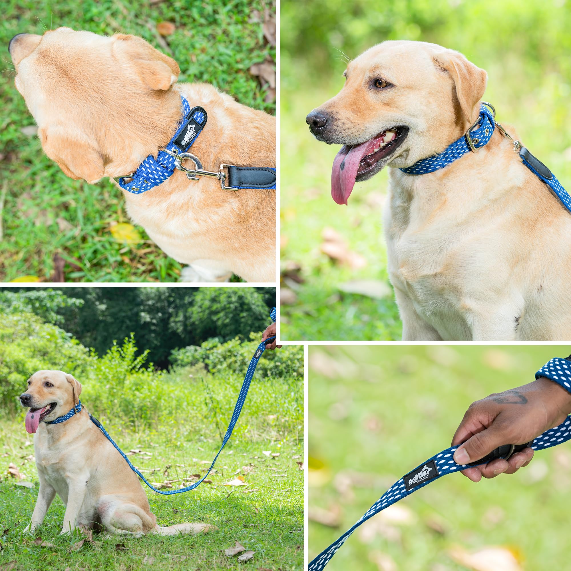 Adil’s 5ft Cotton Dotted Dog Leash with Leather Grip & 360° Swivel Hook – Durable, Comfy & Tangle-Free for All Dog Sizes