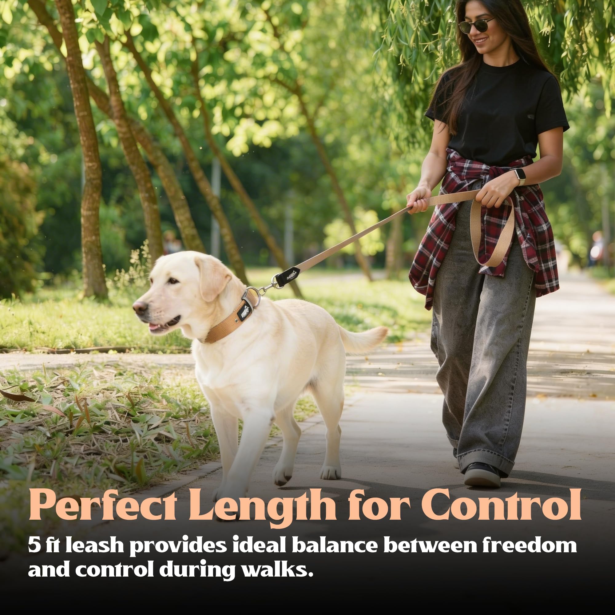 ADIL's Nylon Dog Leash, Heavy Duty Walking Lead with 360° Swivel Metal Hook 1.5 Inch Wide Durable Training Cord with Comfortable Loop Handle for Medium Large Dogs