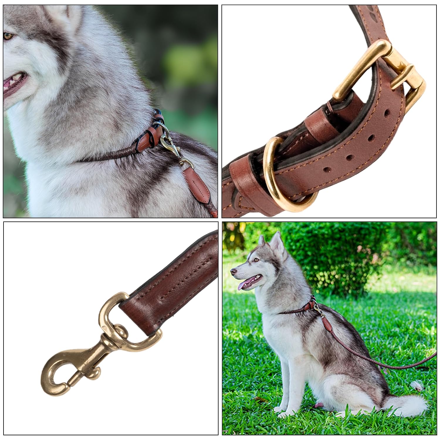 Braided Rolled Drum Dyed (DD) Leather Dog Collar & Leash