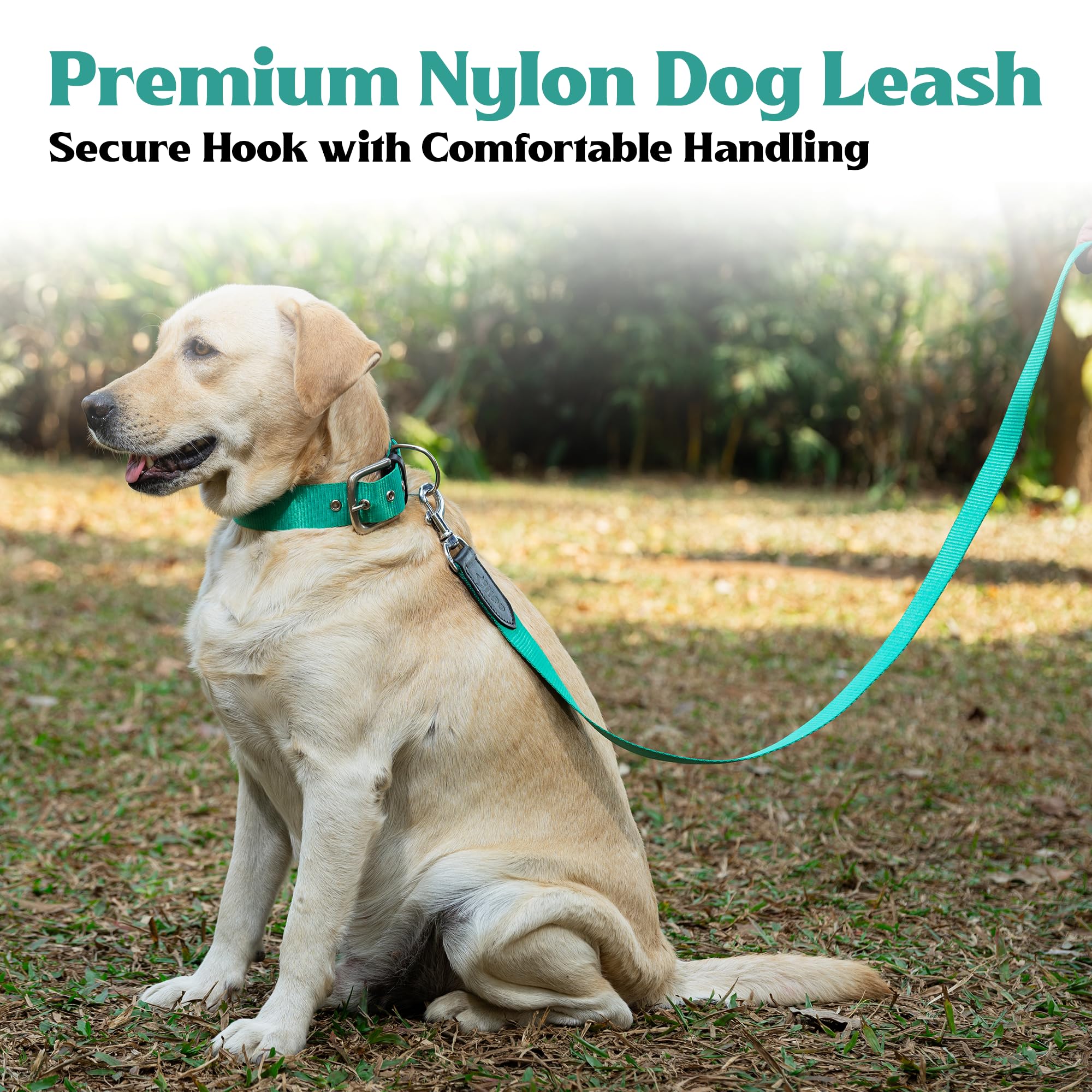 ADIL's Nylon Dog Leash, Heavy Duty Walking Lead with 360° Swivel Metal Hook 1.5 Inch Wide Durable Training Cord with Comfortable Loop Handle for Medium Large Dogs