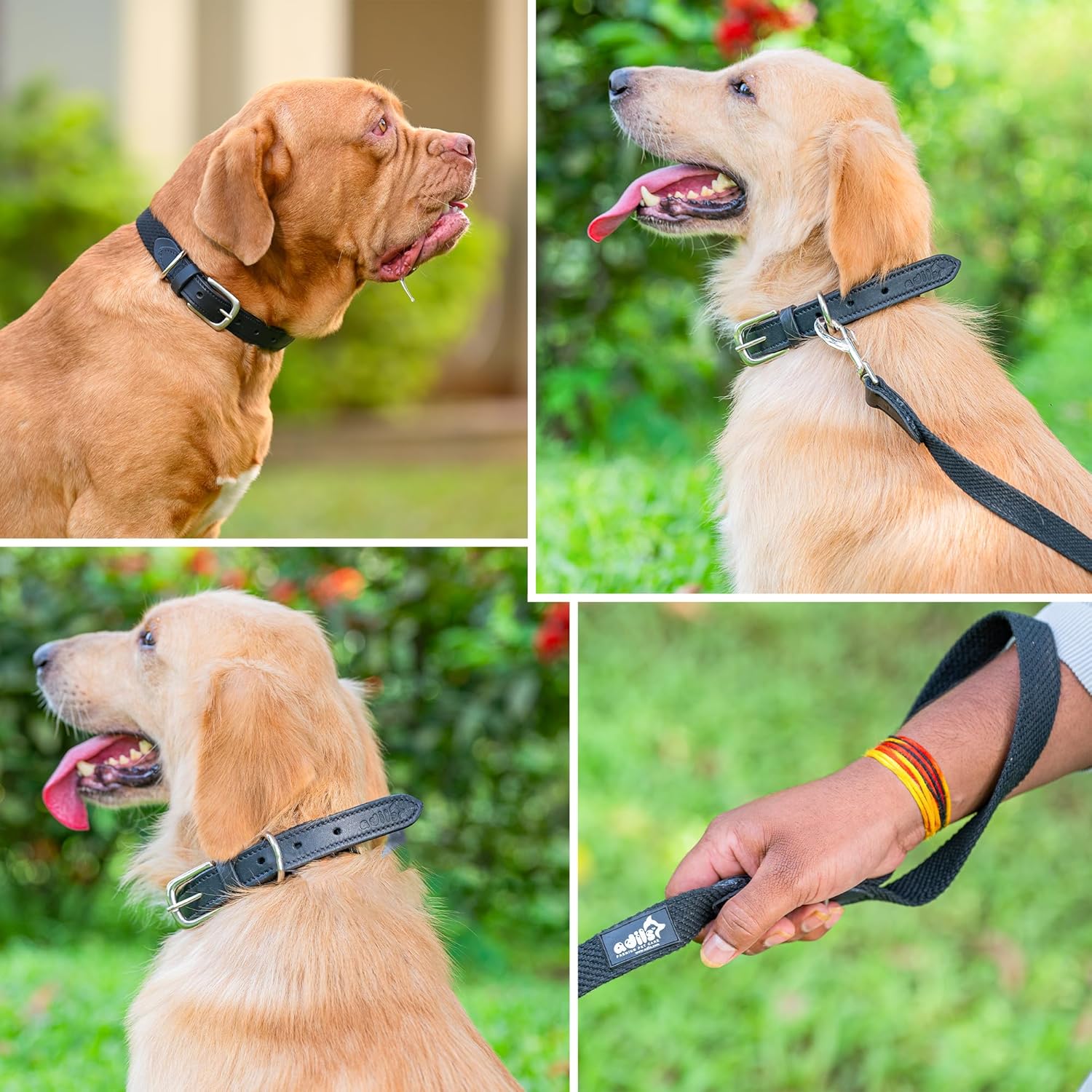Adil’s Plain Cotton Adjustable Leather Neck Belt Dog Collar & 5FT Leash Combo Set | Durable Cotton-Leather with Metal Buckle for Small, Medium & Large Dogs (Black, M(16''-20''))