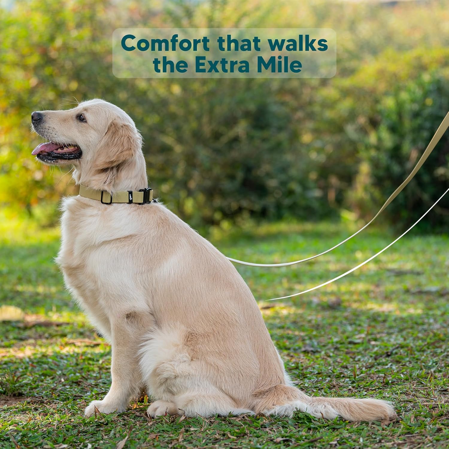 Adil’s Biothane Dog Leash - Waterproof Leashes for Dogs, Metal Hook, Adjustable 5ft Length Suitable for Dogs & Puppies, Ideal for Walking, Running & Training