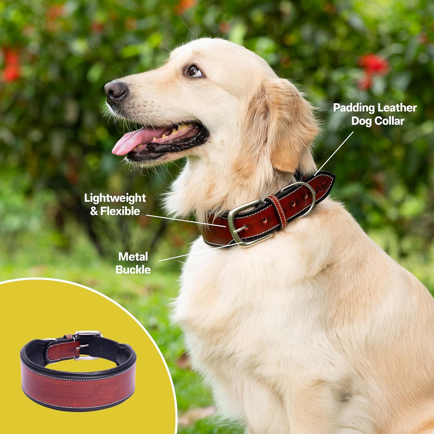 Adil’S supertails Genuine Leather Black Edge Dog Collar 2.5 Inch Width, Heavy Duty, Adjustable Leather Handmade Dog Collar with Strong Metal Buckle, Neck Size: 12” to 26” Color: Orange Brown