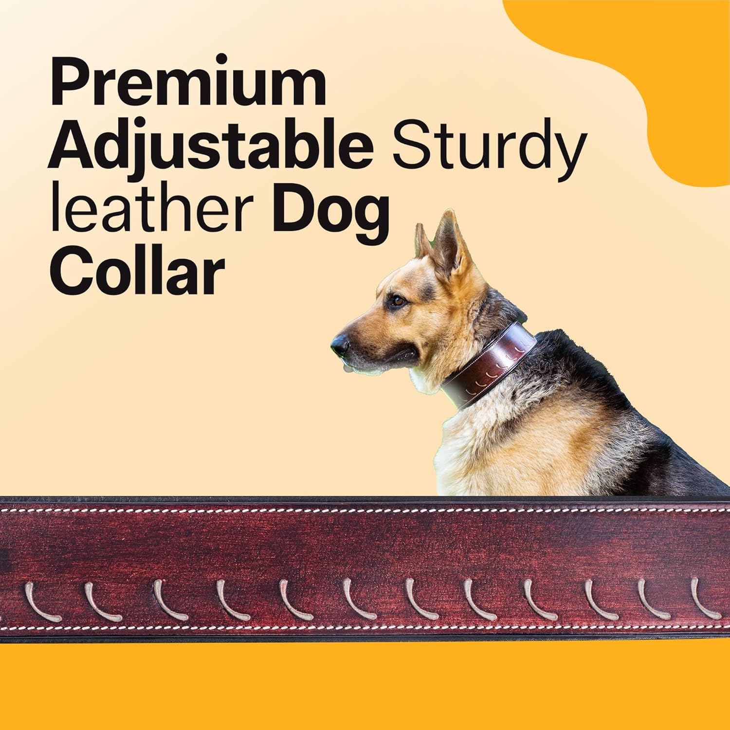 Adil’S Tooling Half Moon Cut Tooled Dog Collar 2.25INCH Width Suitable for Medium & Large Dogs, Hand Tooled Leather Dog Collar with Sturdy Hardware & Classic Design