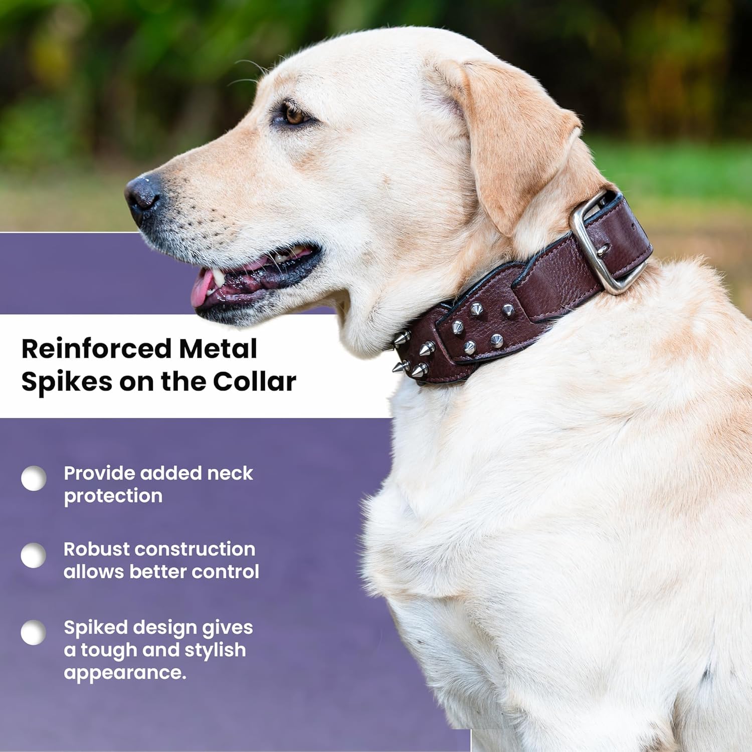 Adil’s Personalized Leather Loop Spike Dog Collar & Leash Combo Set 1.5" Wide Adjustable Neckbelt Metal Buckle D-Ring 5Ft Leather Heavy Duty Loop Cord with 360 Swivel Hook for Training Walking