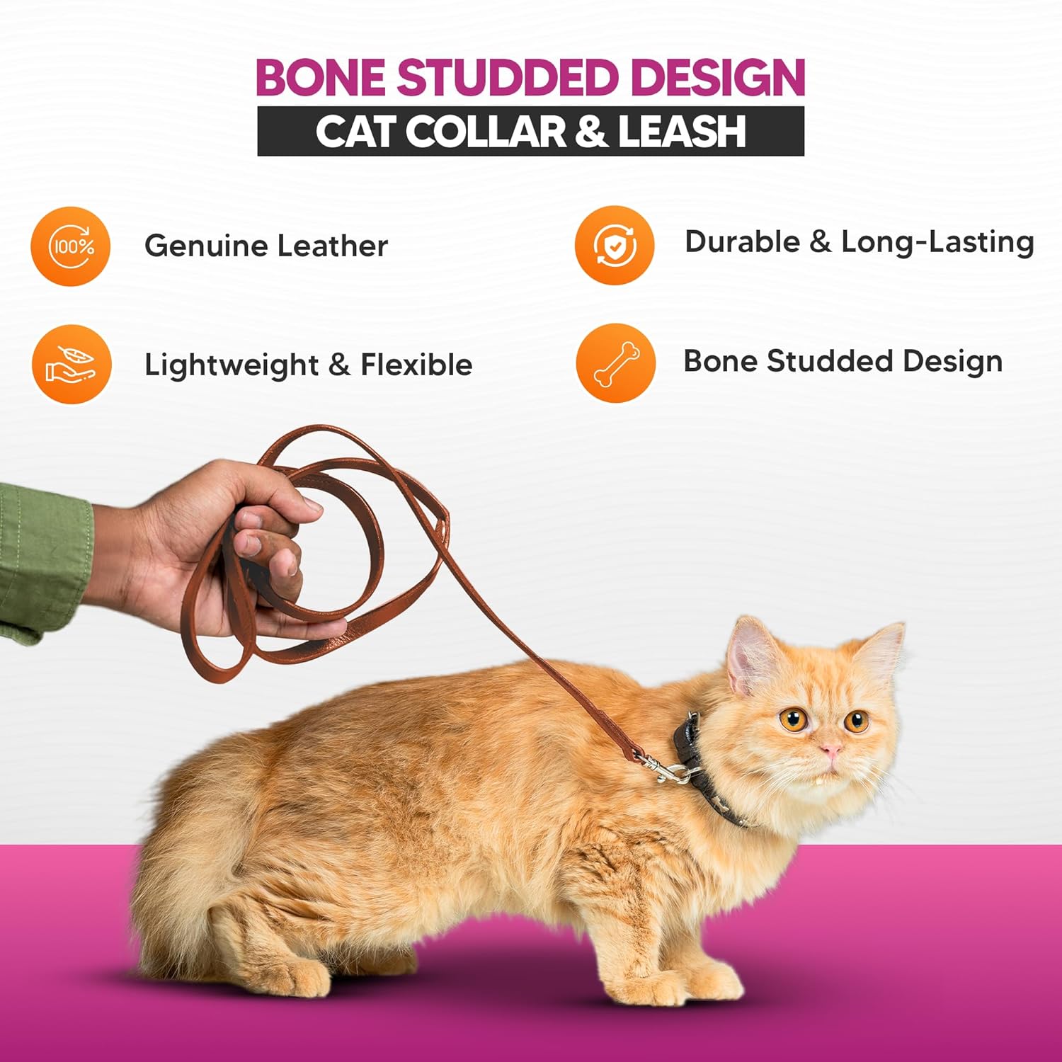 Adil’S Leather Cat Collar & Leash Set - Stylish Six Bone Studded Design Collar, Genuine Leather, Adjustable Buckle & Secure 5ft Leash for Safe and Comfortable Outdoor Activity (Brown)