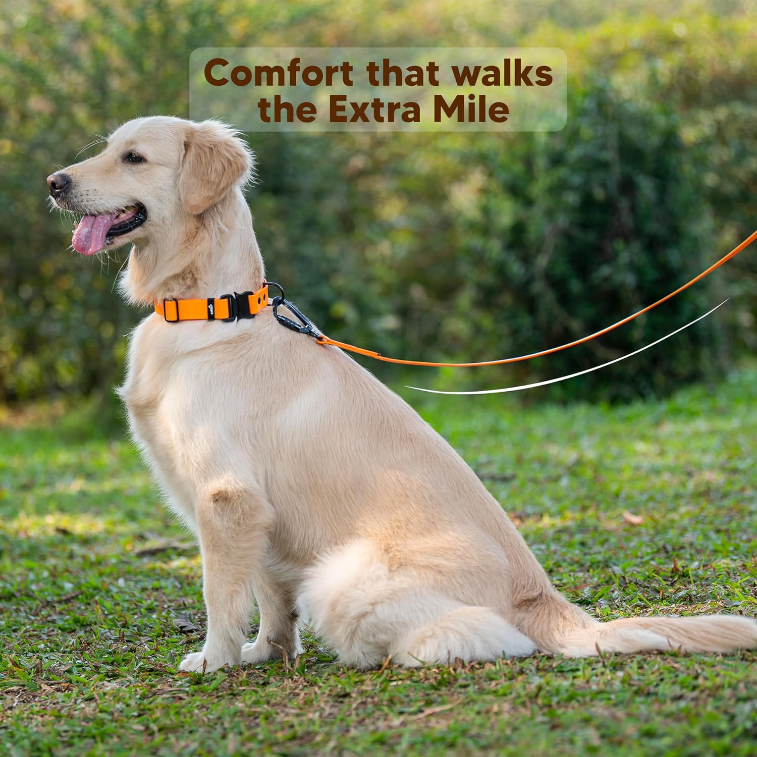 Adil’s Biothane Dog Leash - Waterproof Leashes for Dogs, Metal Hook, Adjustable 5ft Length Suitable for Dogs & Puppies, Ideal for Walking, Running & Training