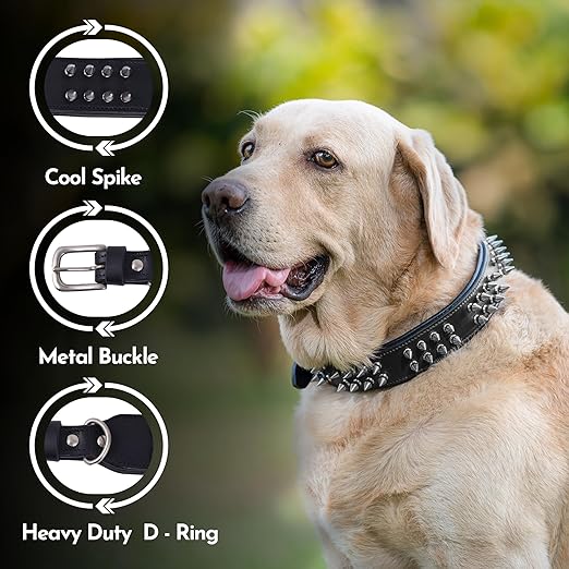 2-Inch Wide Spiked Leather Dog Collar for Pitbulls, Mastiffs, Street Hounds, and Huskies