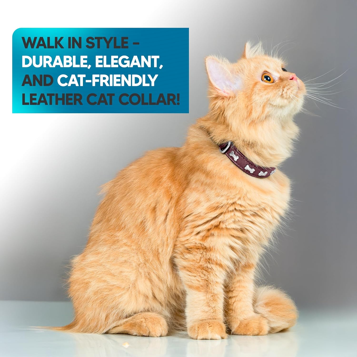 Adil’S Leather Cat Collar - Stylish Six Bone Studded Design, Breakaway Soft pet Collar, Adjustable Metal Buckle with Strong D-Ring for Leash attachments,Comfortable & Secure (Black)