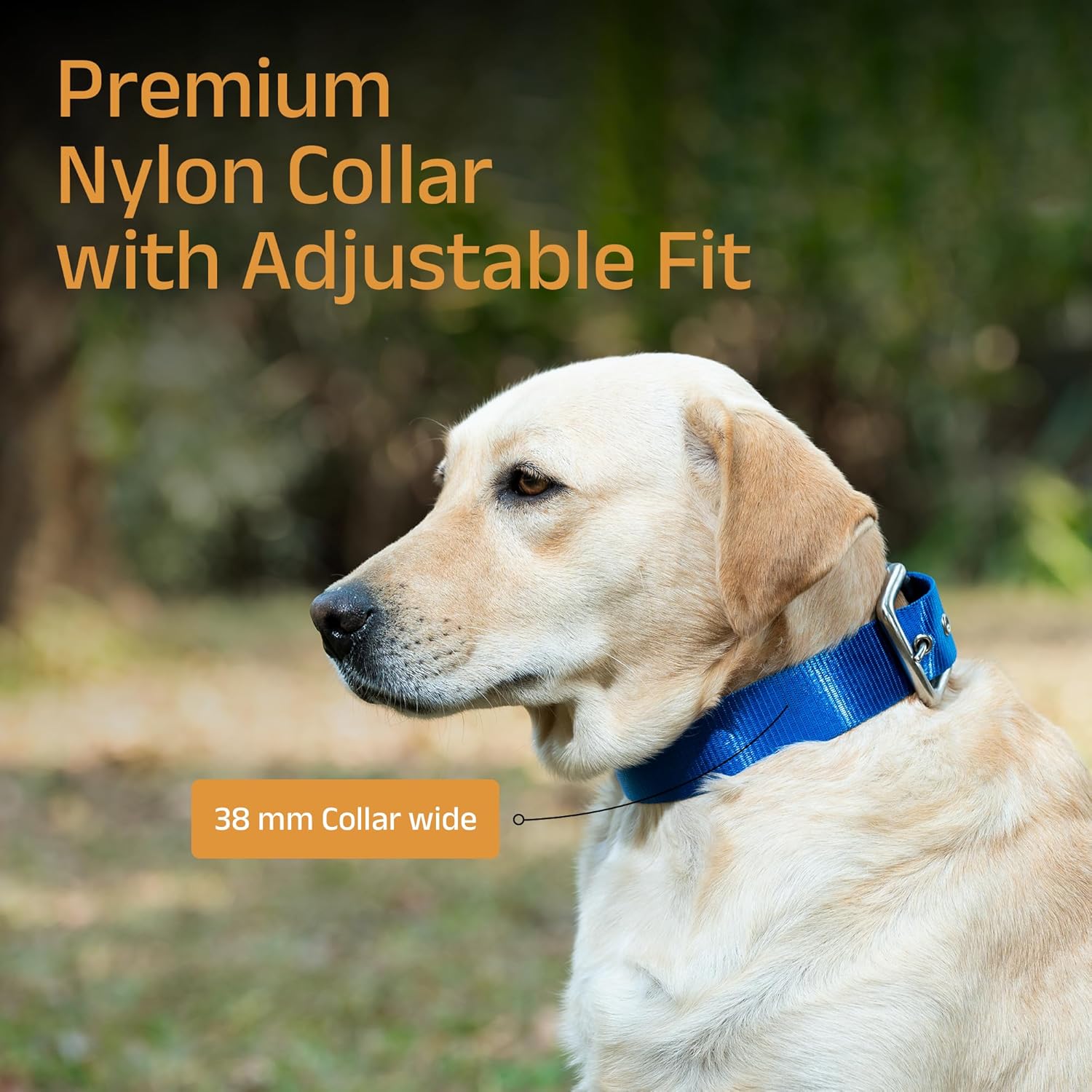 ADIL's Nylon Dog Collar – 1.5 Inch Wide Heavy-Duty Neckbelt with Metal Buckle D-Ring, Adjustable Safety Strap Small Medium Large Pets for Outdoor Walking Training