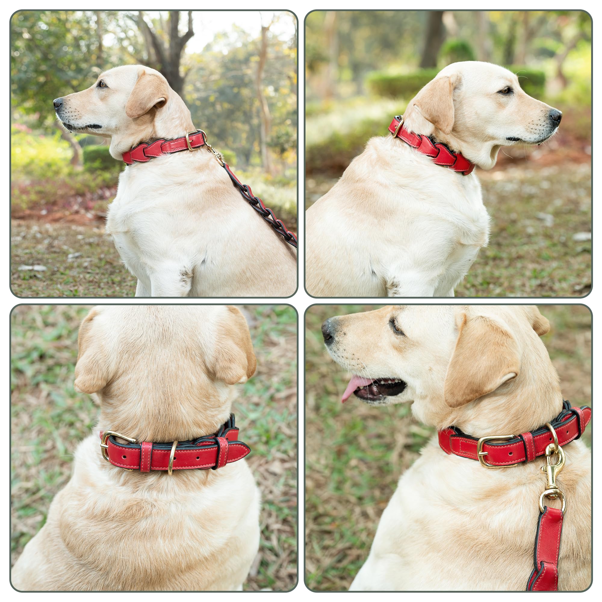 Adil’S Soft Leather Personalized Dog Collar for Large Medium Small Dogs Neck Collar with Personalized Dog Name in Neck Size 12 Inch to 26 Inch