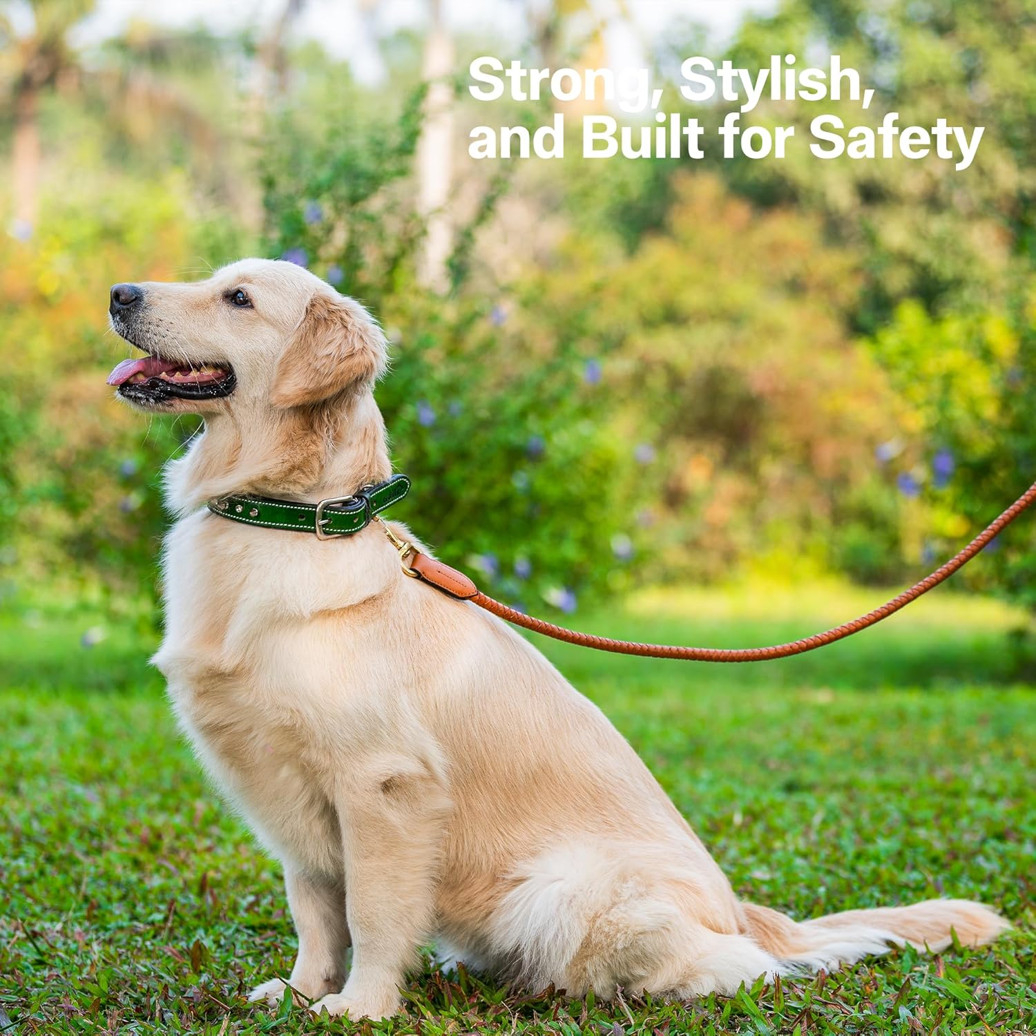 Adil’S Leather Spike Studded Dog Collar – Adjustable Pet Collar for Small, Medium, Large Dogs Durable & Stylish for Pitbulls, Bulldogs, Mastiffs & Guard Dogs