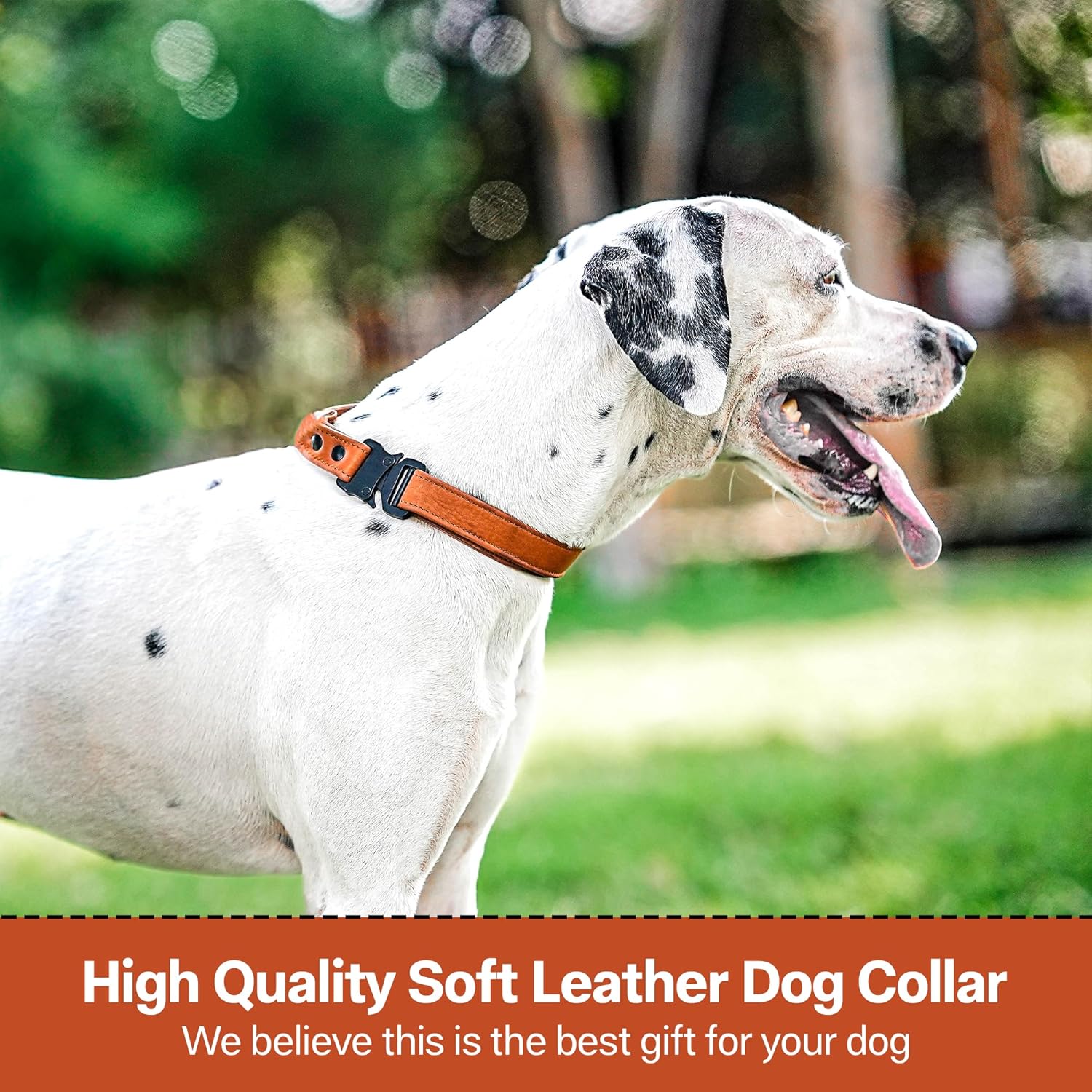 Adil’S Softy Leather Dog Collar 1inch, Dog Neck Belt for Medium to Large Pets – Leather Collars for Dog, Neck Adjustable 12-26 Inch